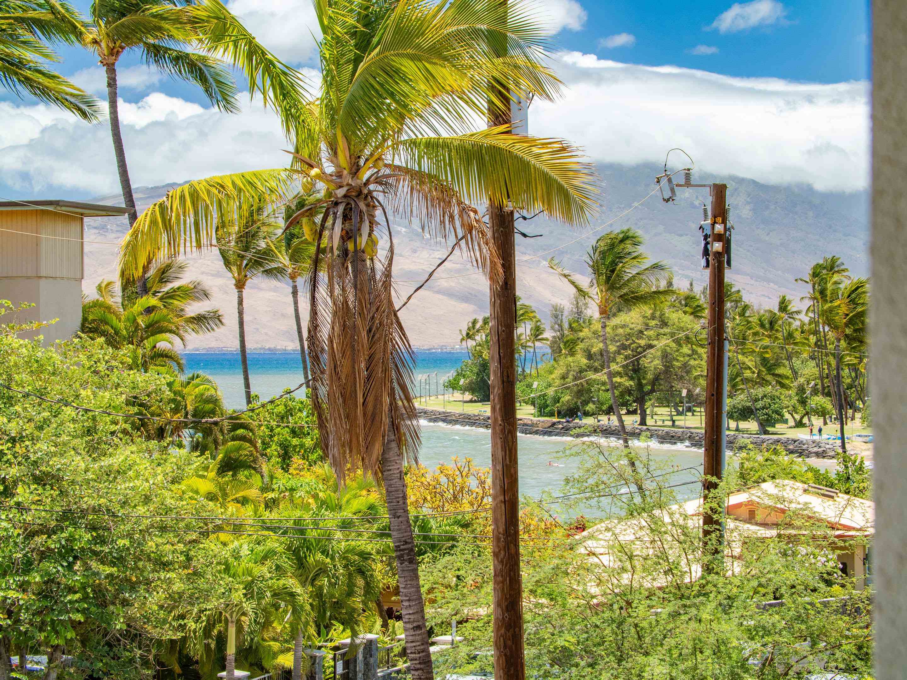 Hawealani Condominium condo # 202, Kihei, Hawaii - photo 8 of 30