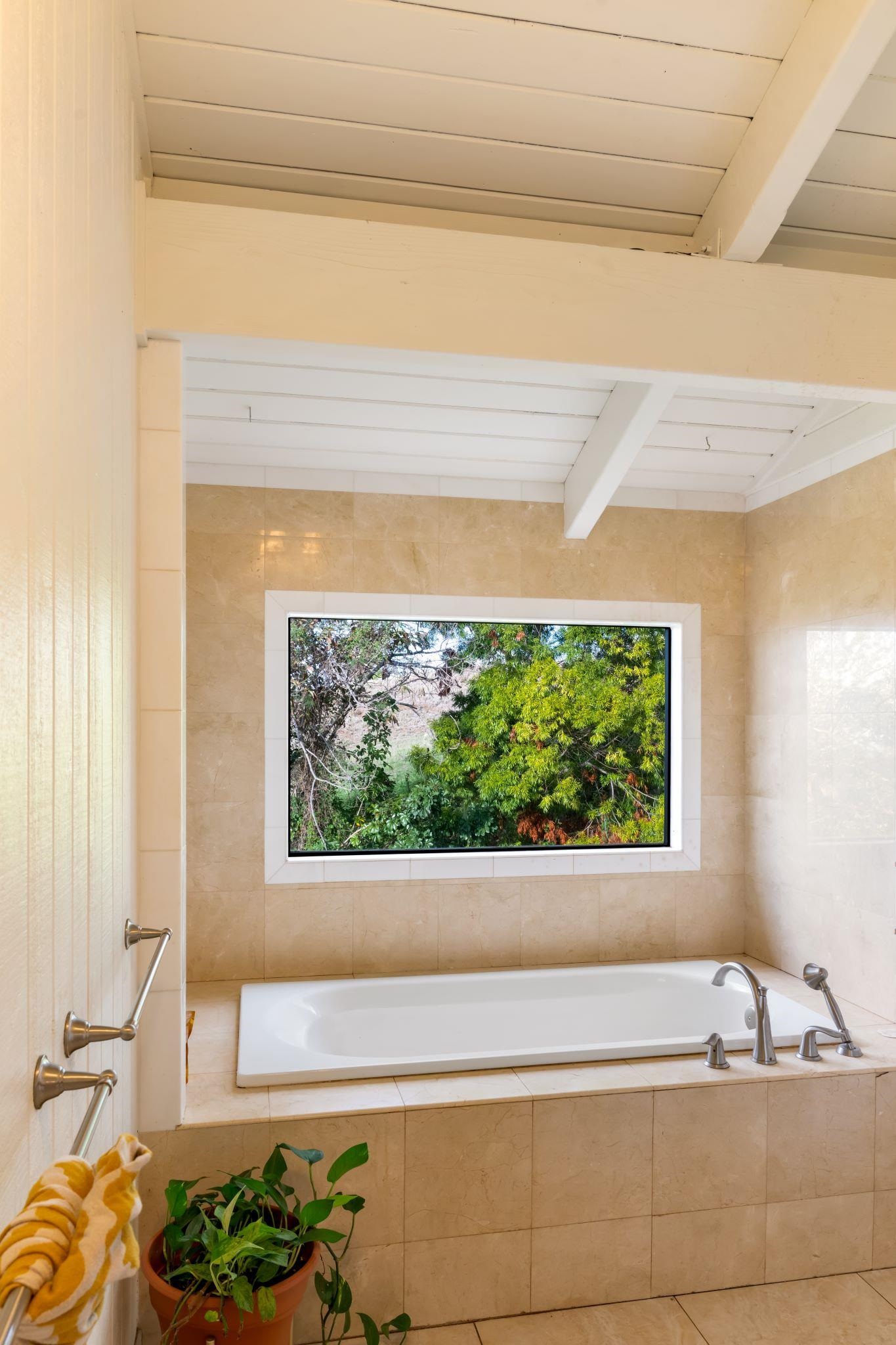 216  Keoni Pl , Kula/Ulupalakua/Kanaio home - photo 10 of 29