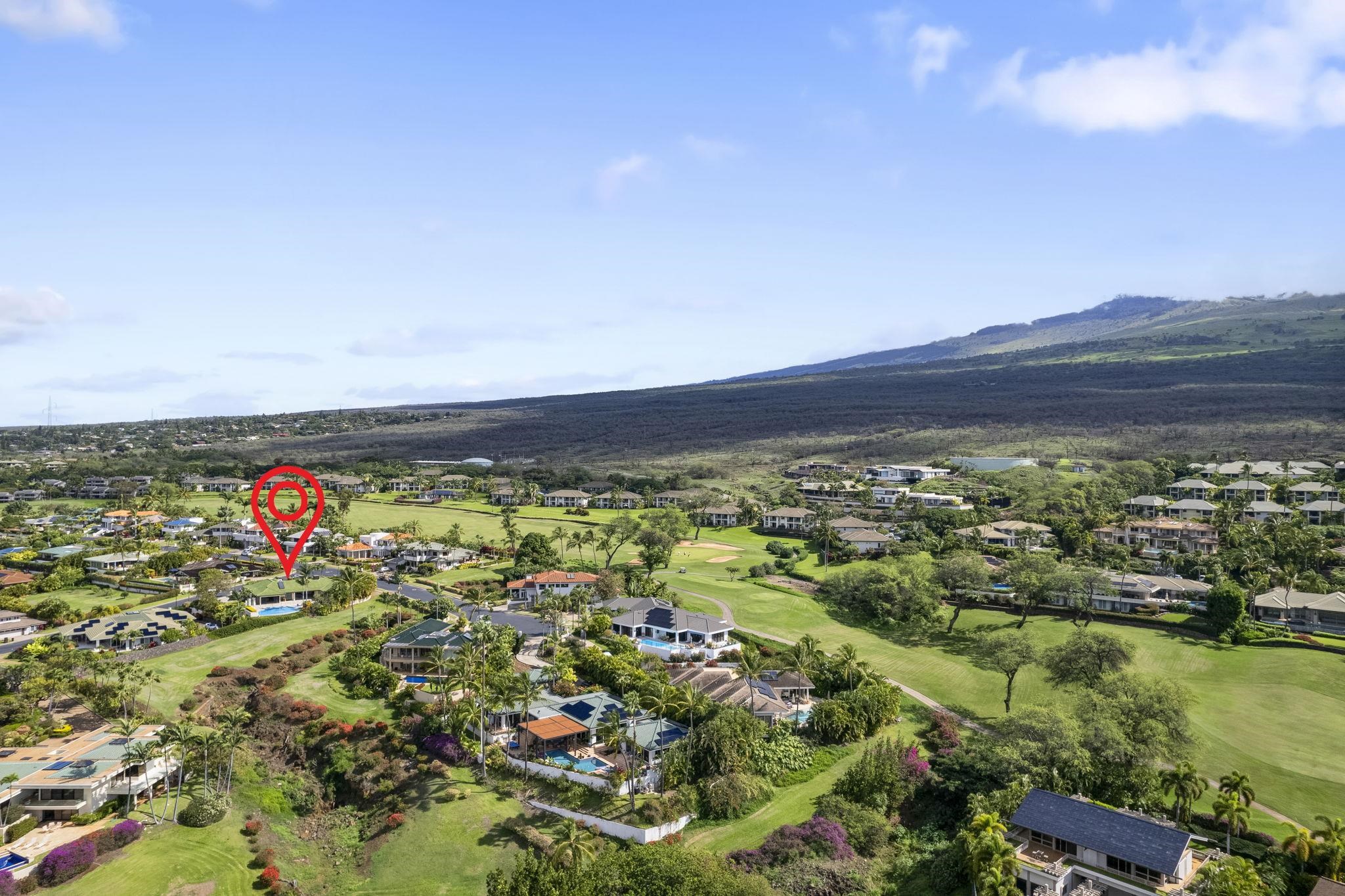 216  Pahi Pl Wailea-makena, Wailea/Makena home - photo 41 of 50