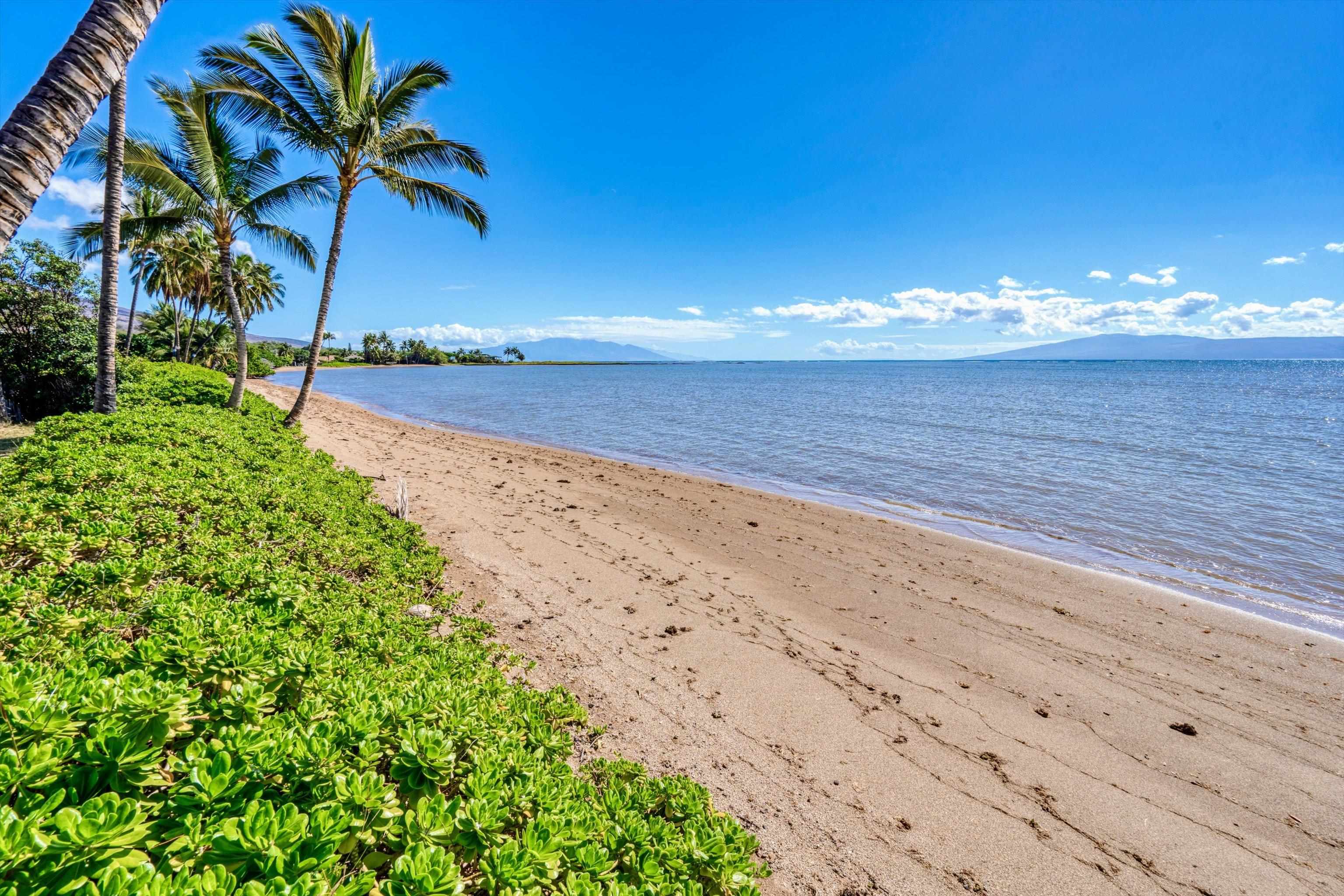 2160  Kamehameha V Hwy , Molokai home - photo 42 of 44