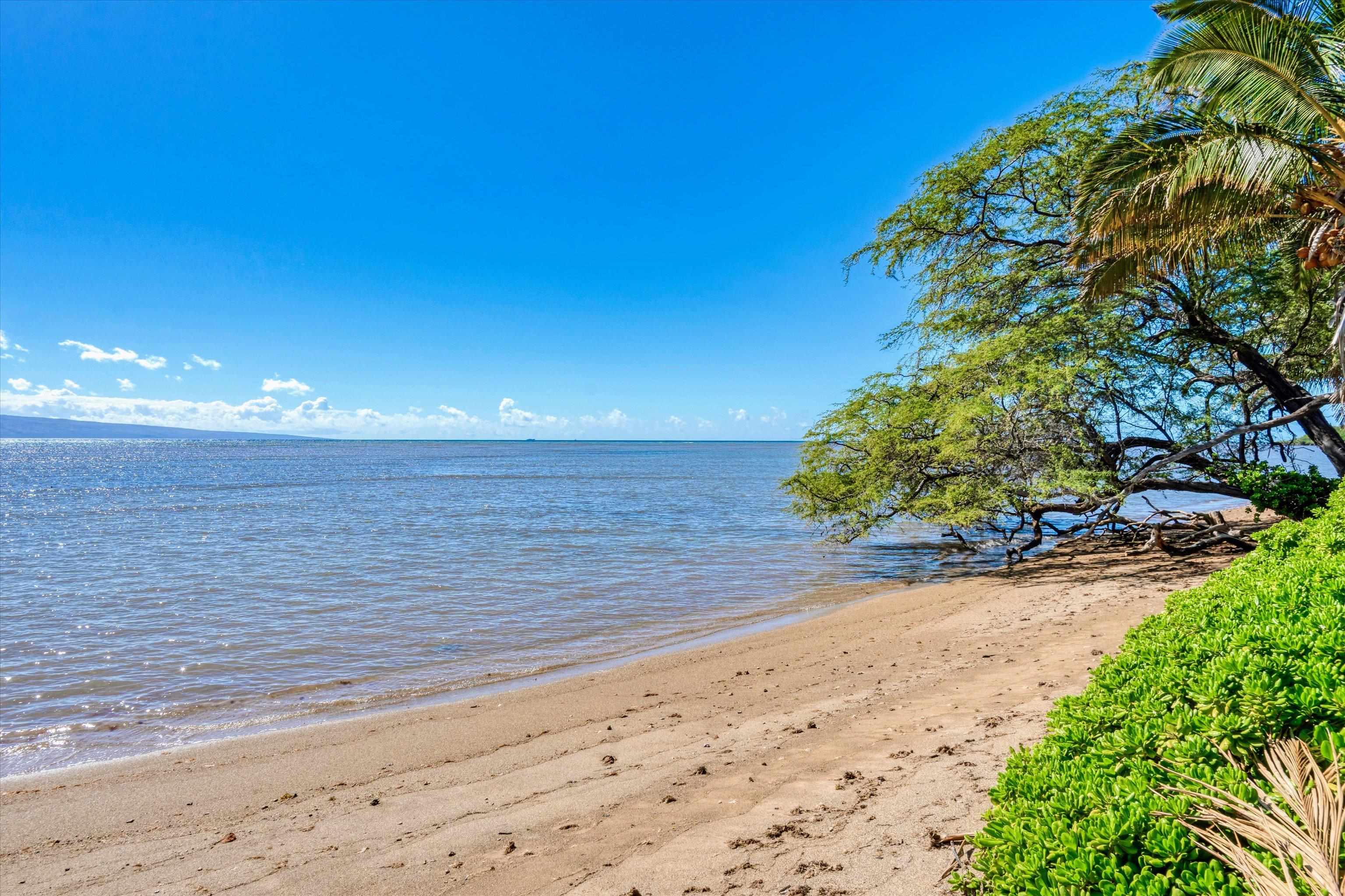 2160  Kamehameha V Hwy , Molokai home - photo 43 of 44