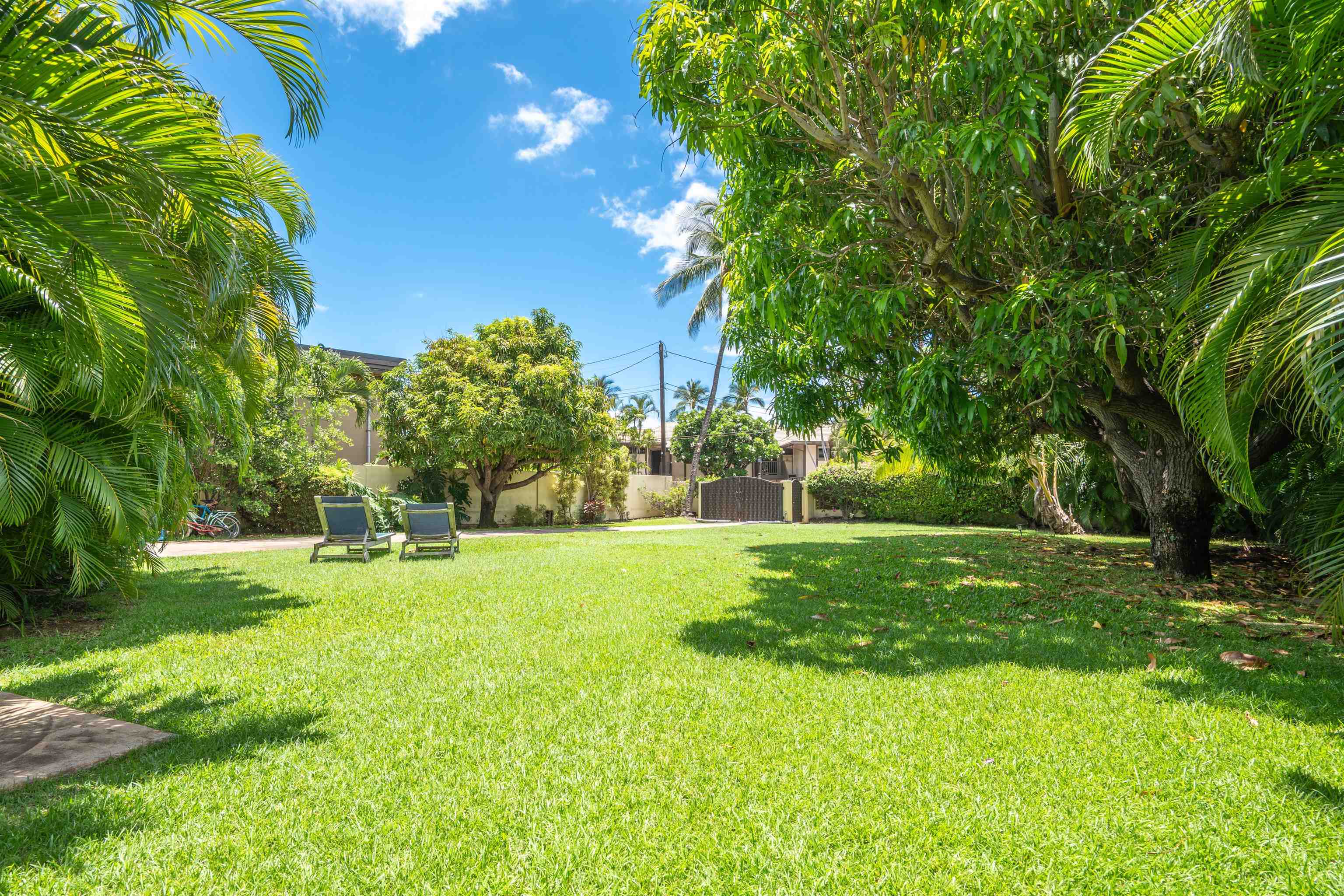 2165  Iliili Rd , Kihei home - photo 49 of 50