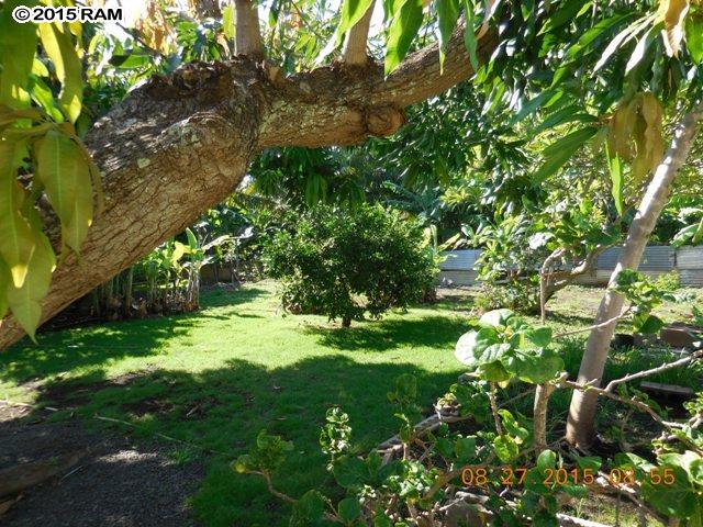 2169  Kahookele St Wailuku, Wailuku home - photo 27 of 30