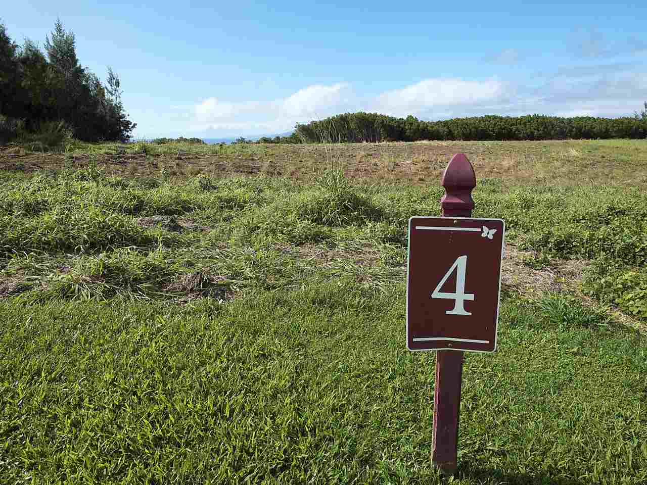 217 Omalu Pl Lot 4 Lahaina, Hi vacant land for sale - photo 24 of 30