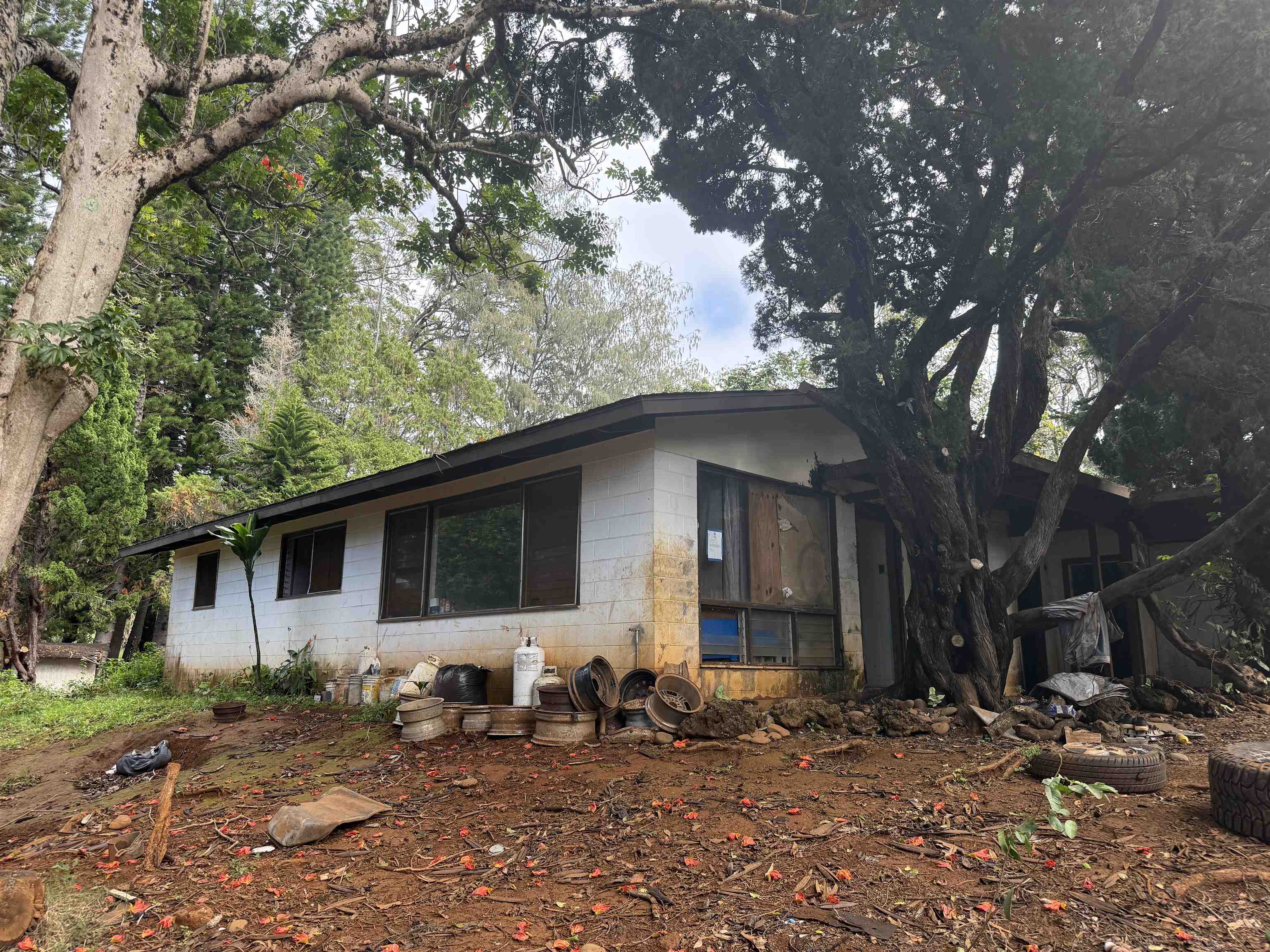 2175  Kauhikoa Rd , Haiku home - photo 8 of 12