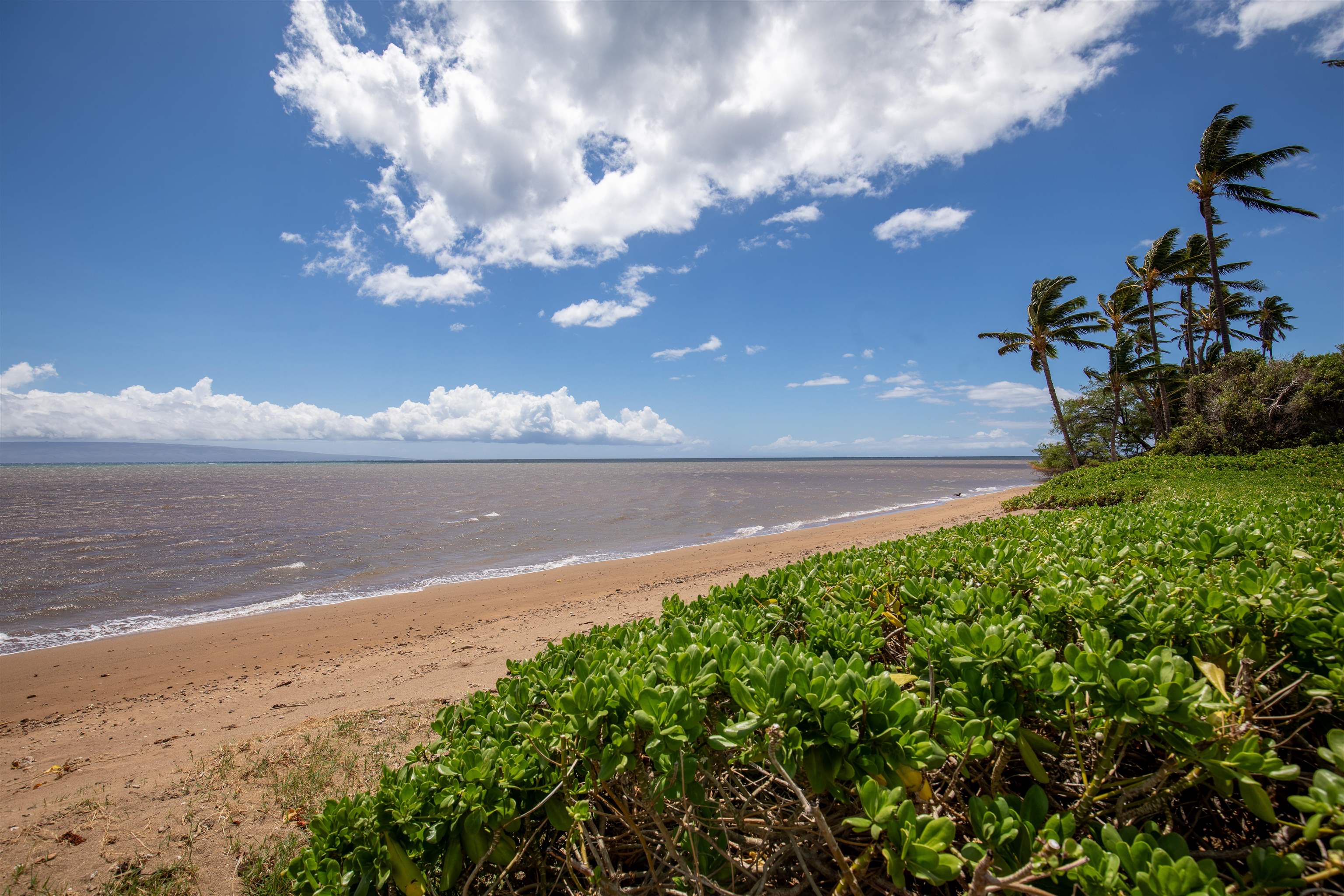 2176  Kamehameha V Hwy , Molokai home - photo 20 of 26