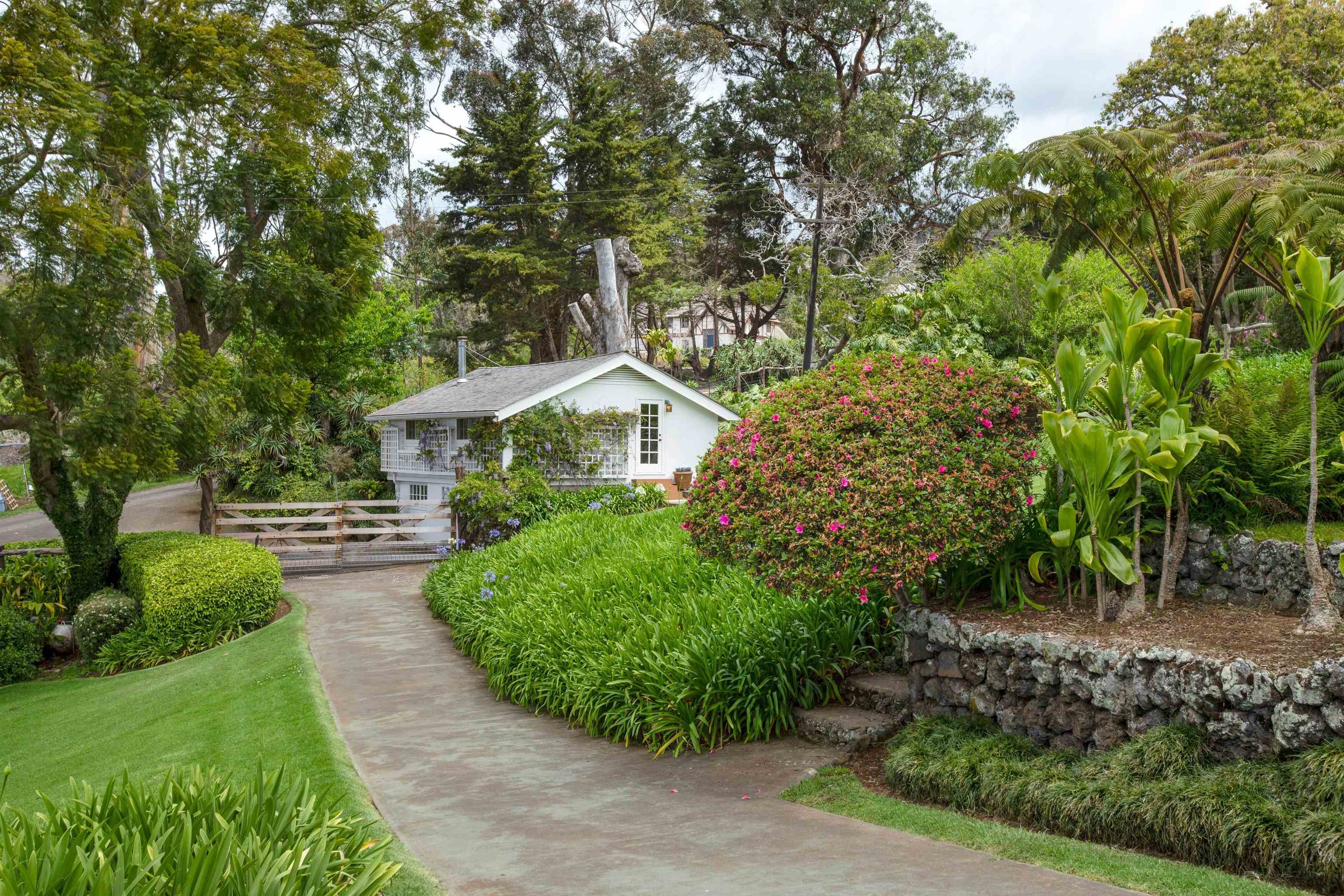 2176  Kekaulike Ave , Kula/Ulupalakua/Kanaio home - photo 44 of 50