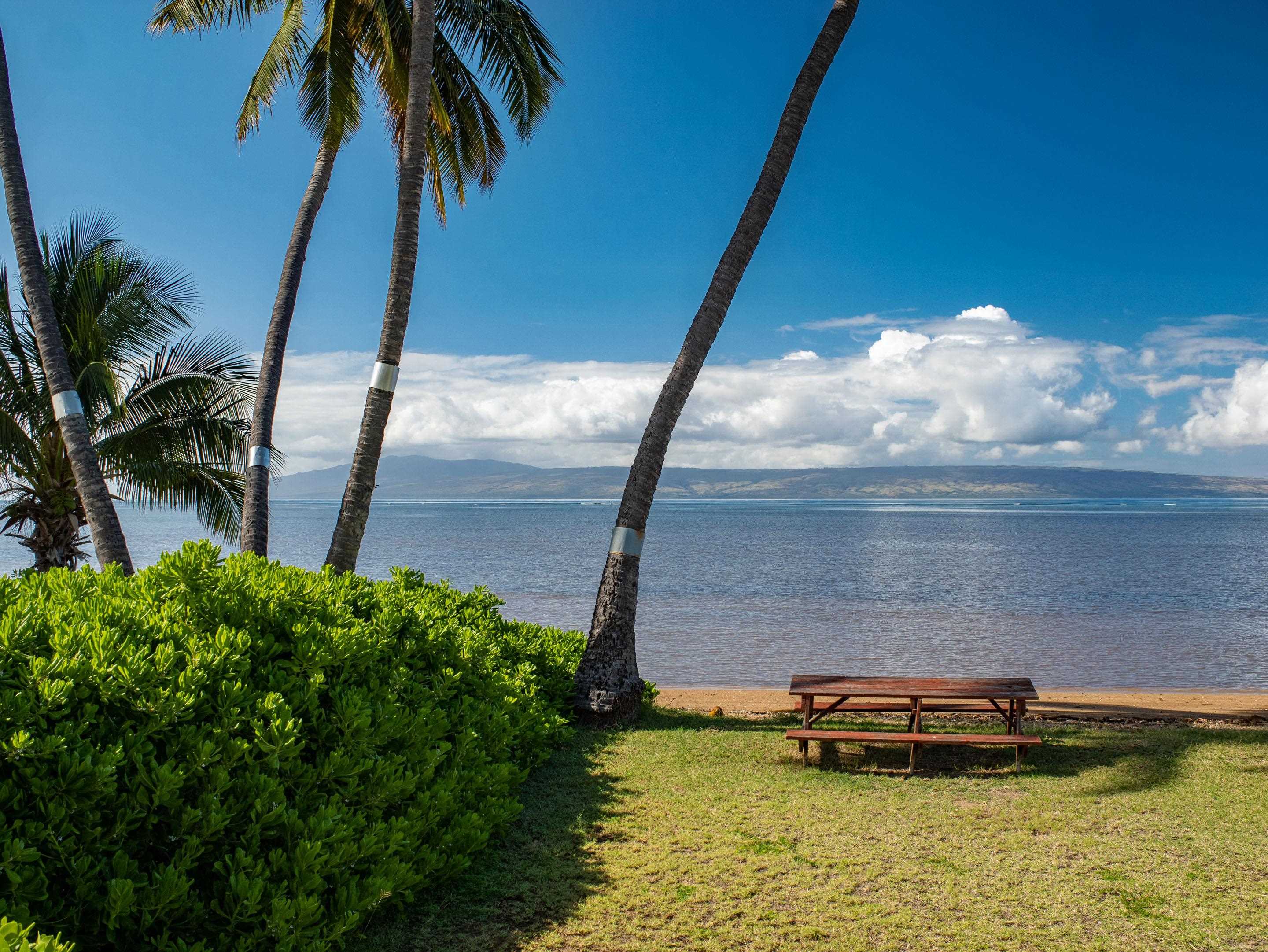 2180  Kamehameha V Hwy Kawela, Molokai home - photo 12 of 50