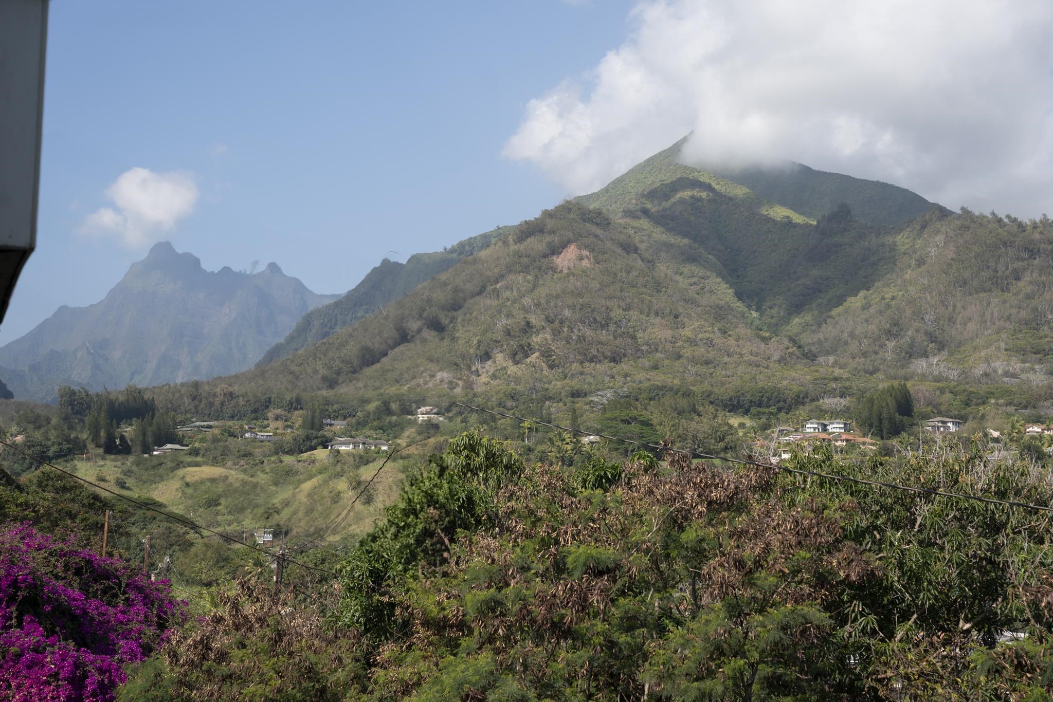 Iao Gardens condo # 105, Wailuku, Hawaii - photo 32 of 35