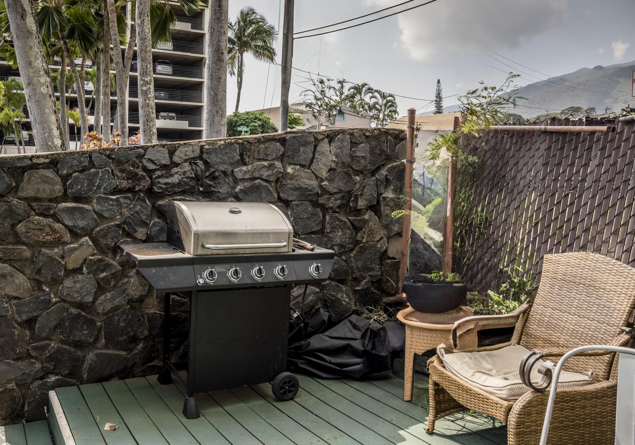 Iao Gardens condo # 105, Wailuku, Hawaii - photo 34 of 35