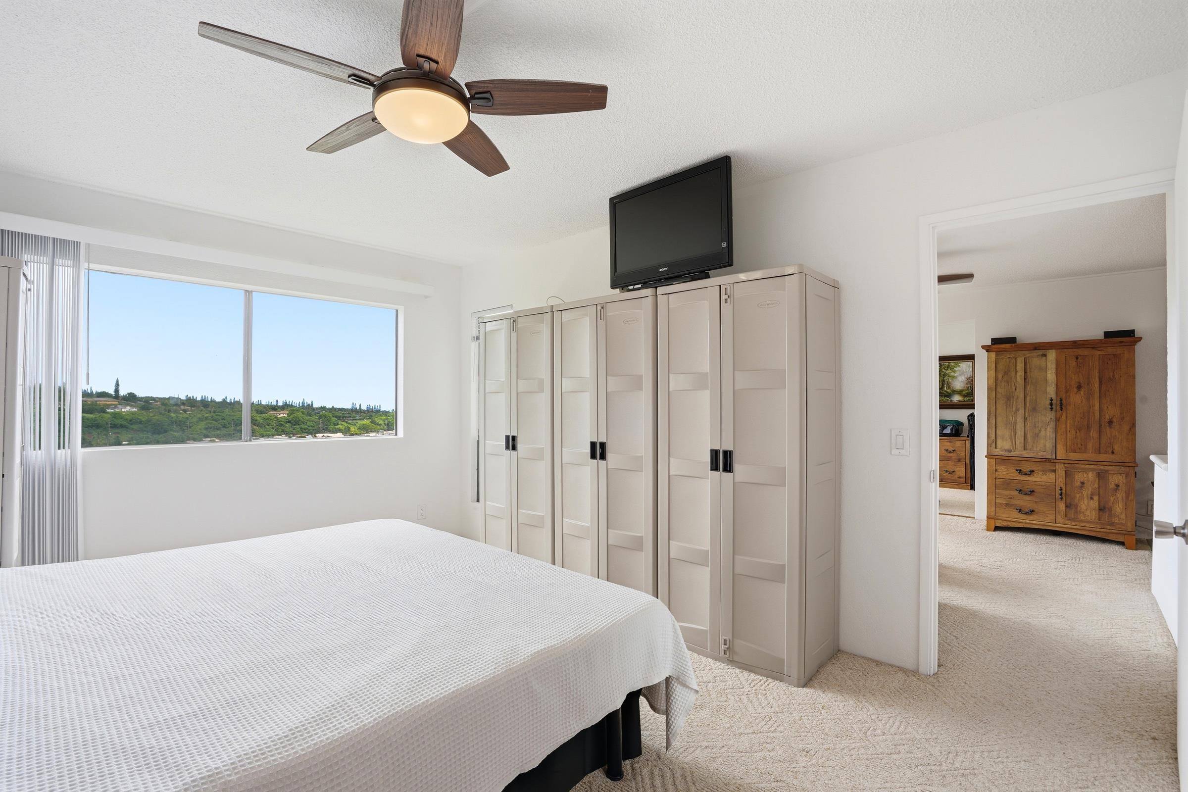 Iao Gardens condo # 204, Wailuku, Hawaii - photo 19 of 39