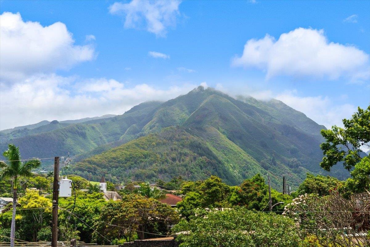 Iao Gardens condo # 308, Wailuku, Hawaii - photo 36 of 41