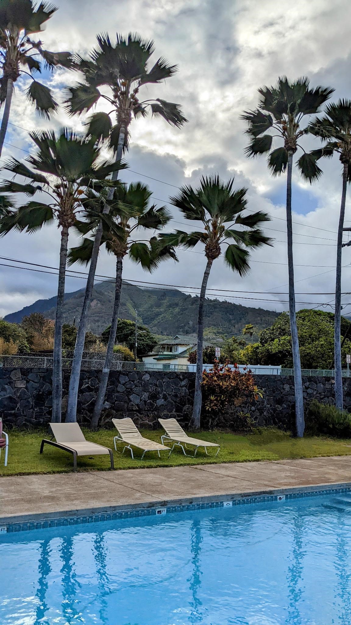 Iao Gardens condo # 309, Wailuku, Hawaii - photo 20 of 24