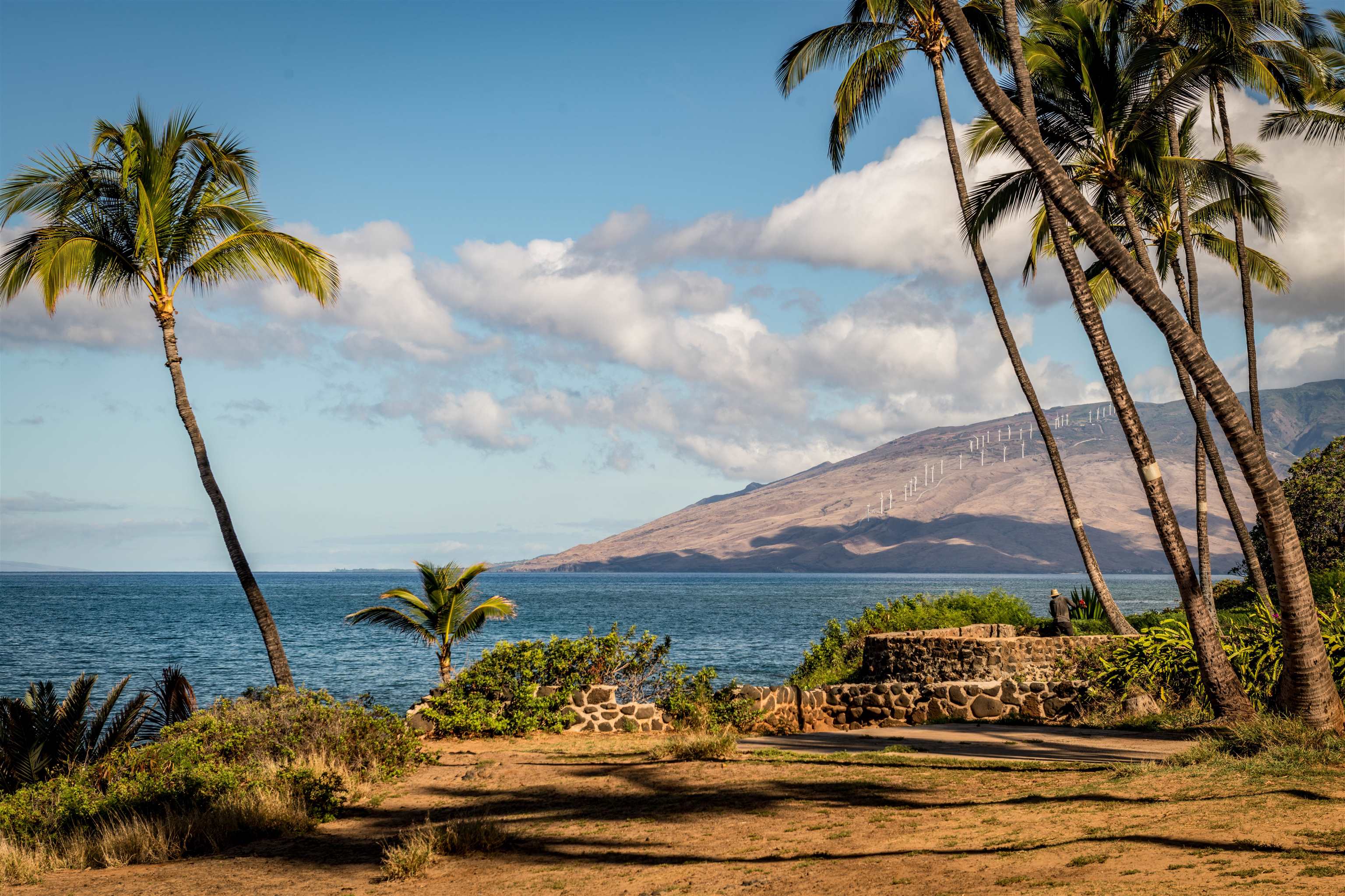 Kihei Cove condo # 202, Kihei, Hawaii - photo 33 of 42