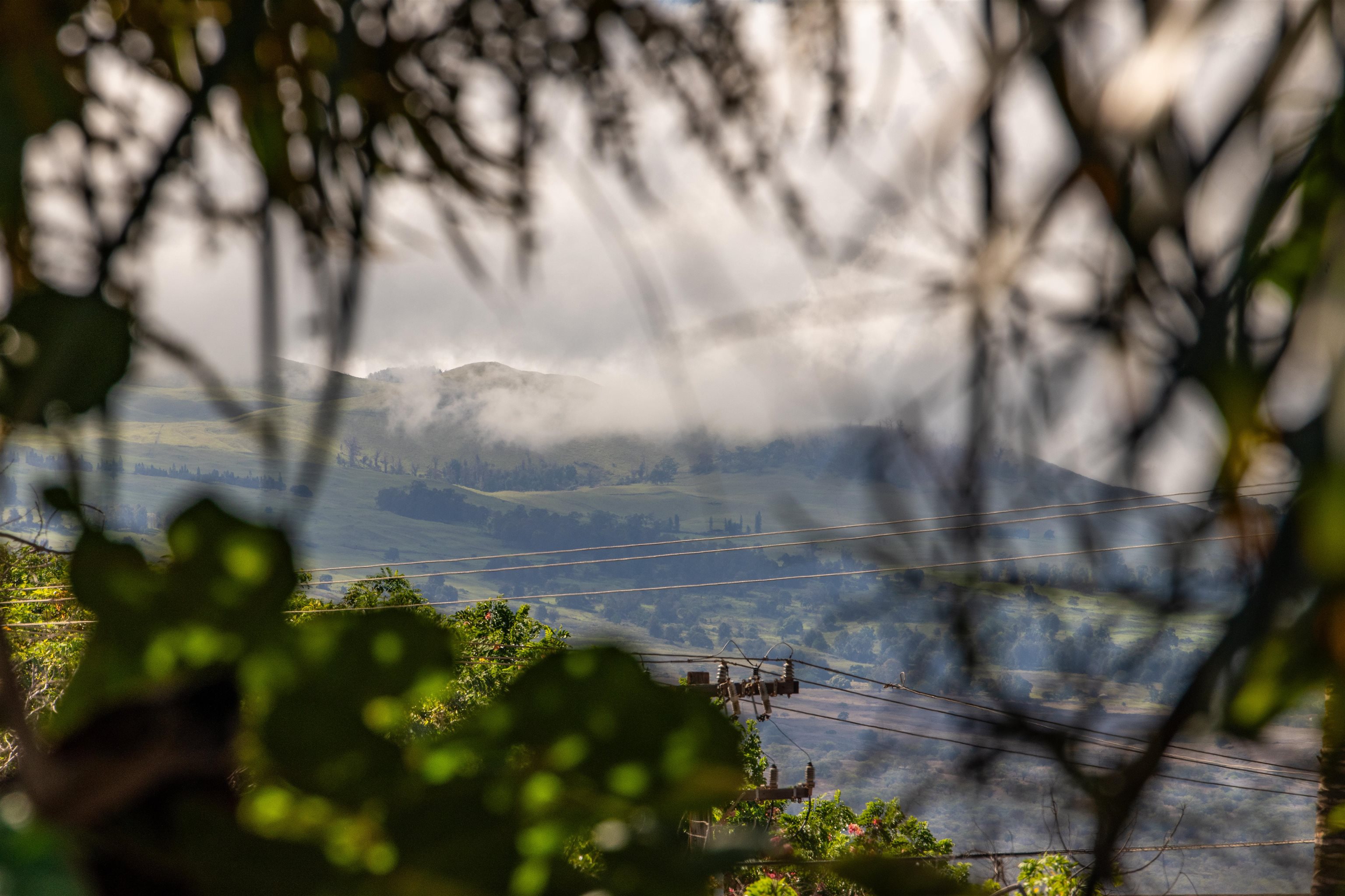 Kihei Cove condo # 202, Kihei, Hawaii - photo 40 of 42