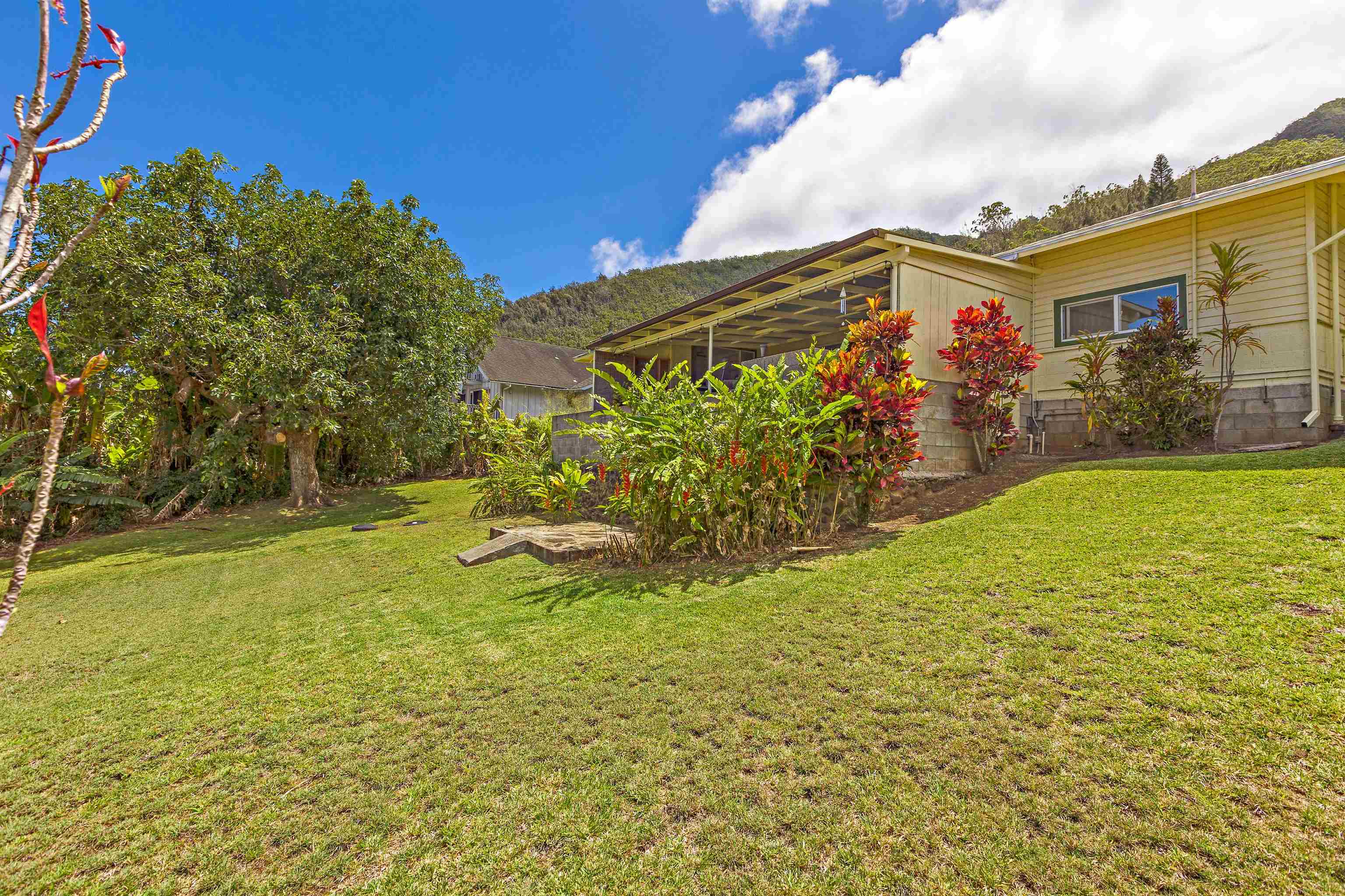 219  Ekoa Pl Wailuku Heights, Wailuku home - photo 32 of 44