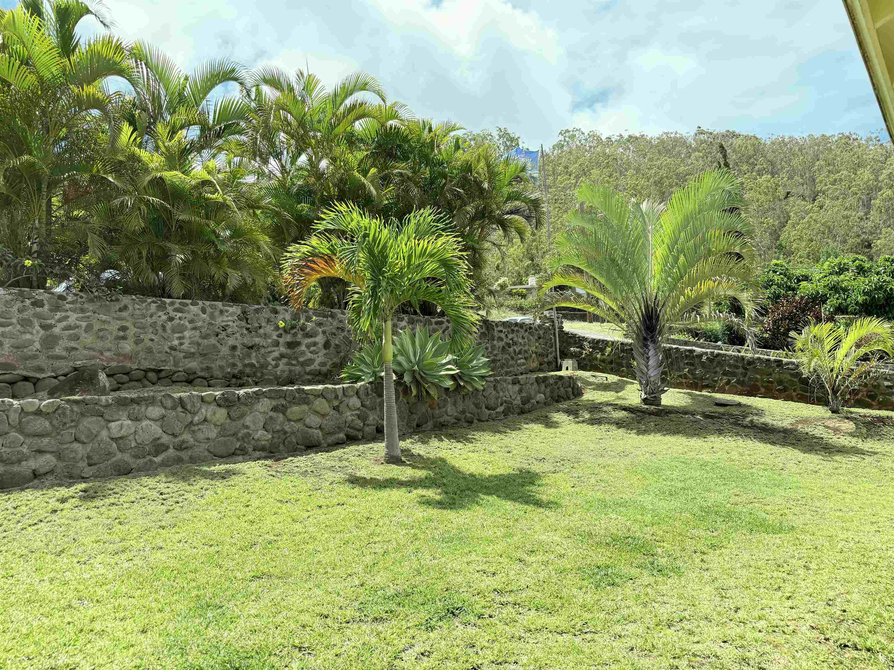 219  Ekoa Pl Wailuku Heights, Wailuku home - photo 42 of 44