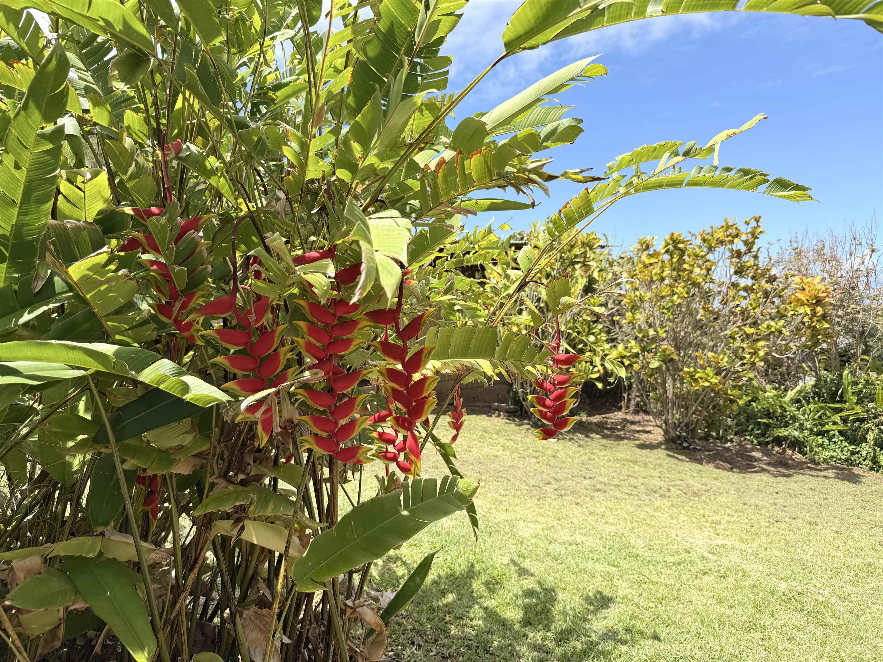 219  Ekoa Pl Wailuku Heights, Wailuku home - photo 43 of 44