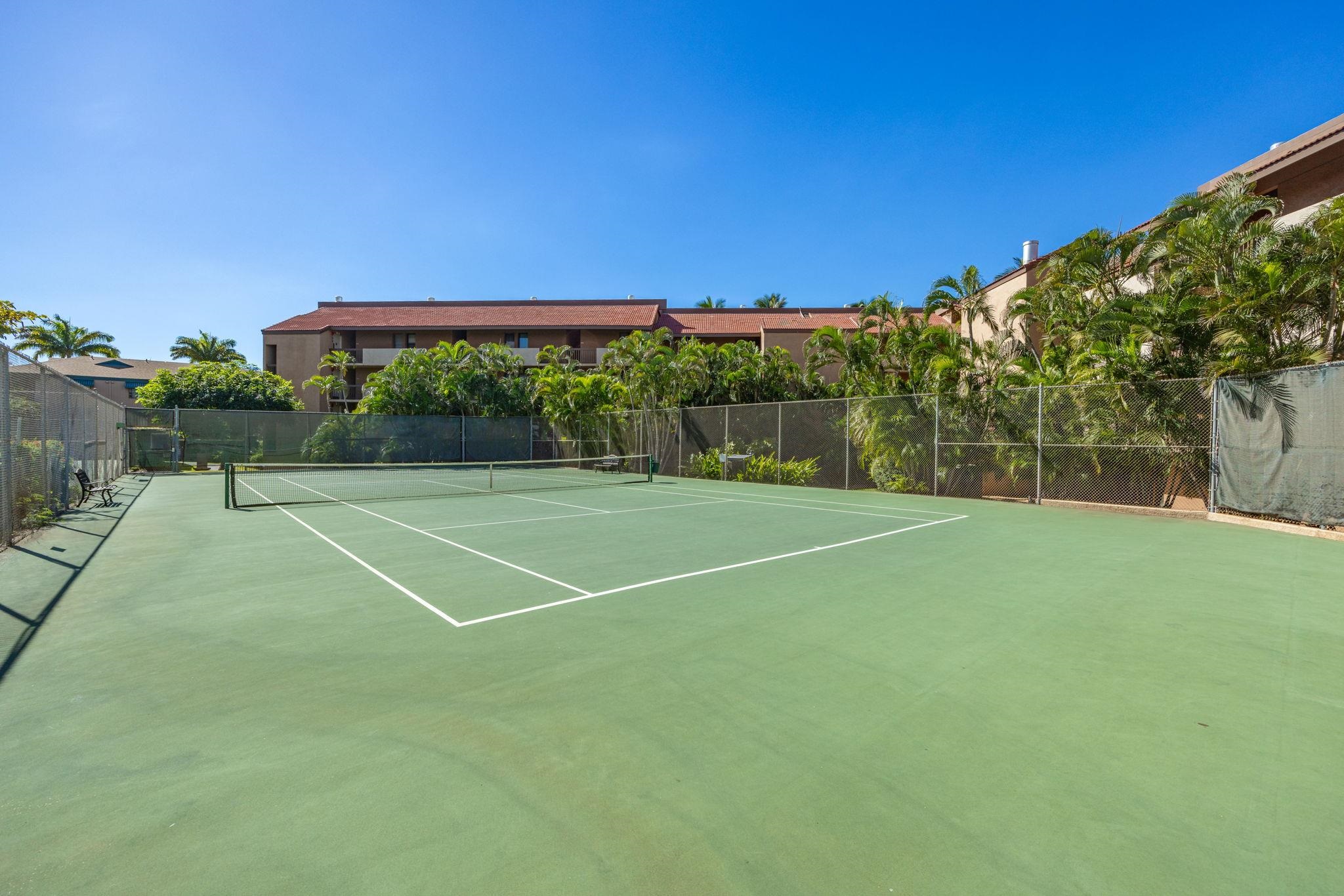 Maui Vista condo # 1-111, Kihei, Hawaii - photo 32 of 50