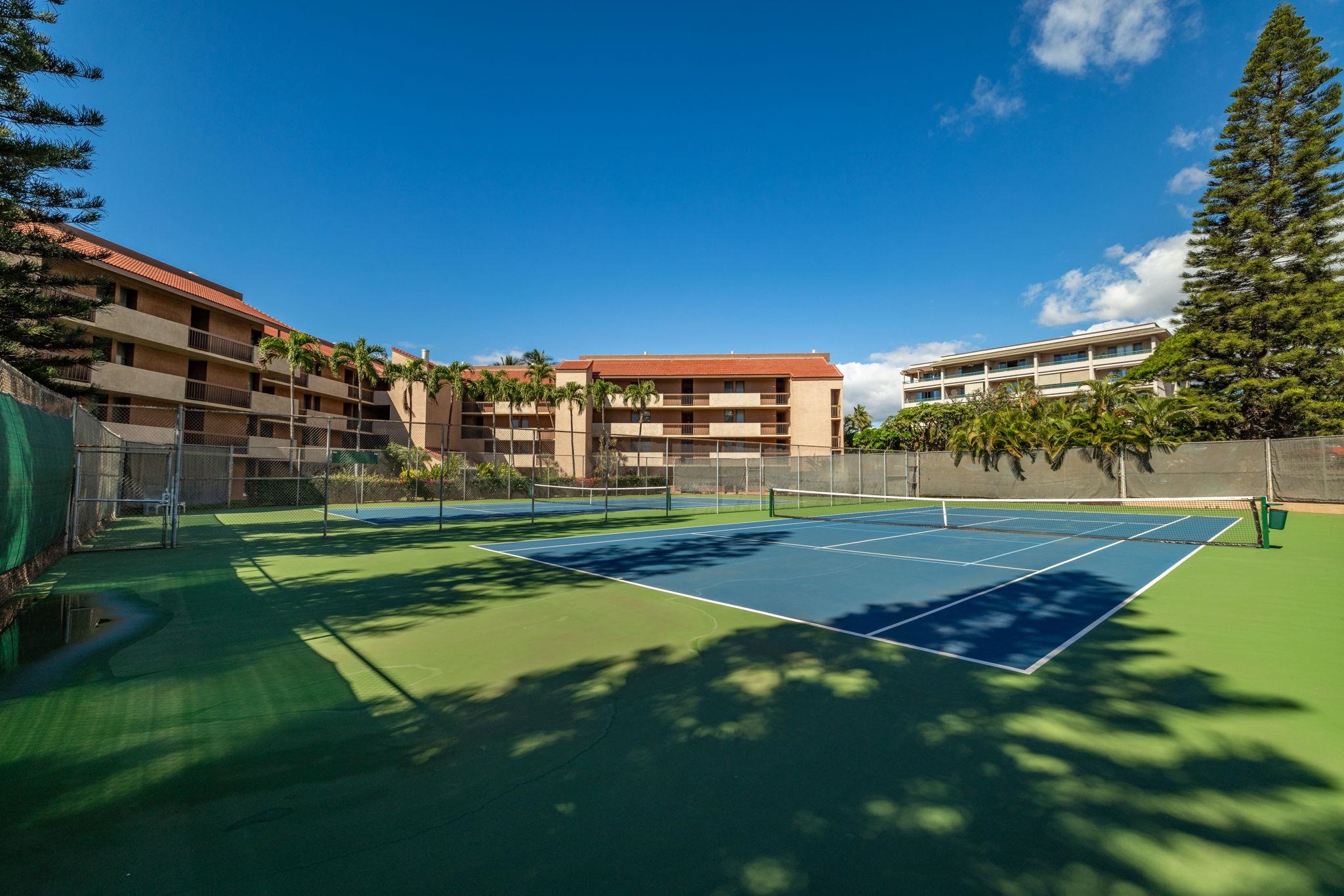 Maui Vista condo # 1-111, Kihei, Hawaii - photo 44 of 50