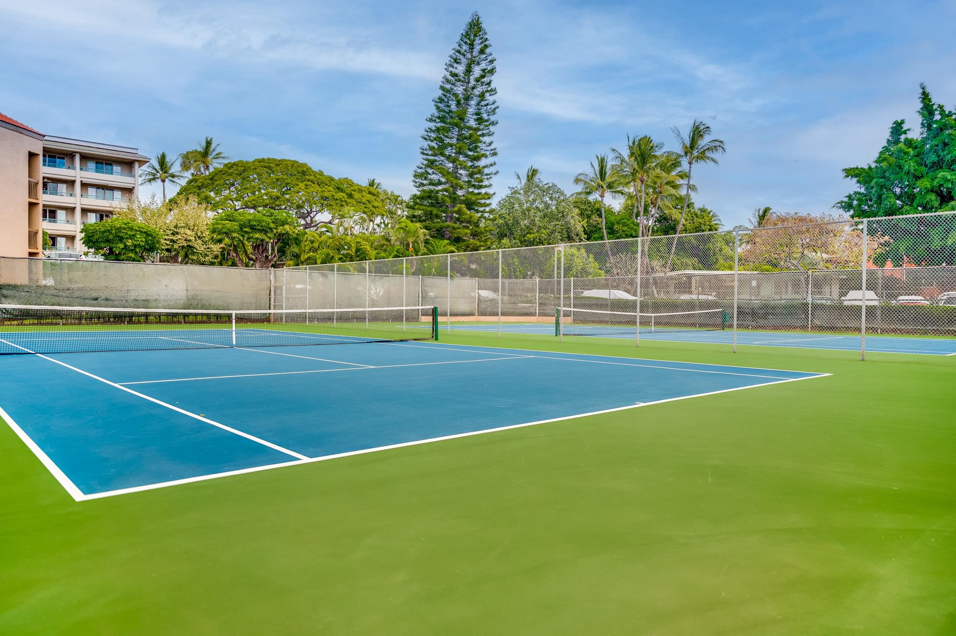 Maui Vista condo # 1206, Kihei, Hawaii - photo 29 of 42