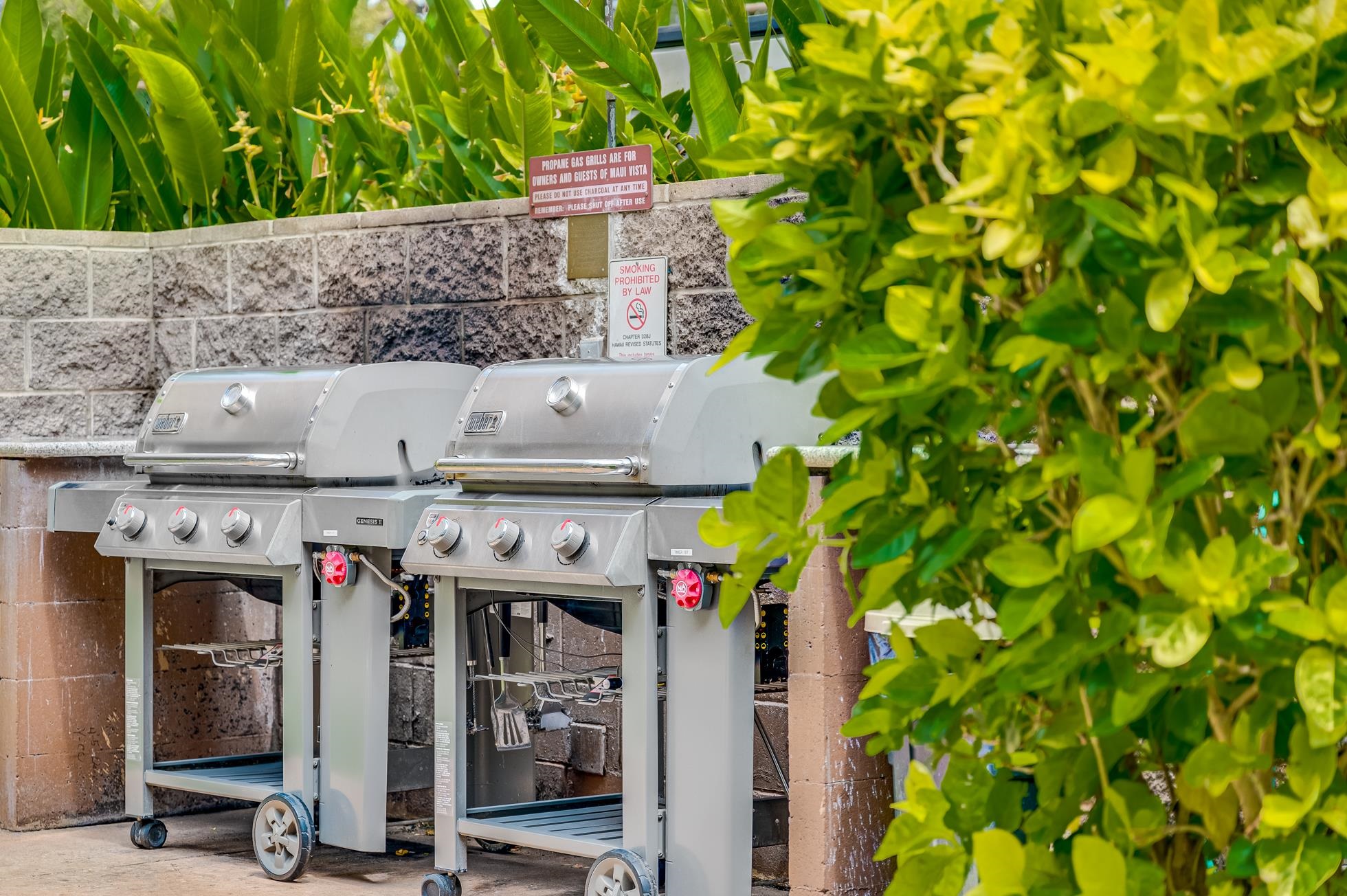 Maui Vista condo # 1206, Kihei, Hawaii - photo 36 of 42