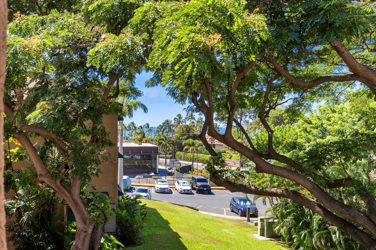 Maui Vista condo # 1301, Kihei, Hawaii - photo 39 of 49