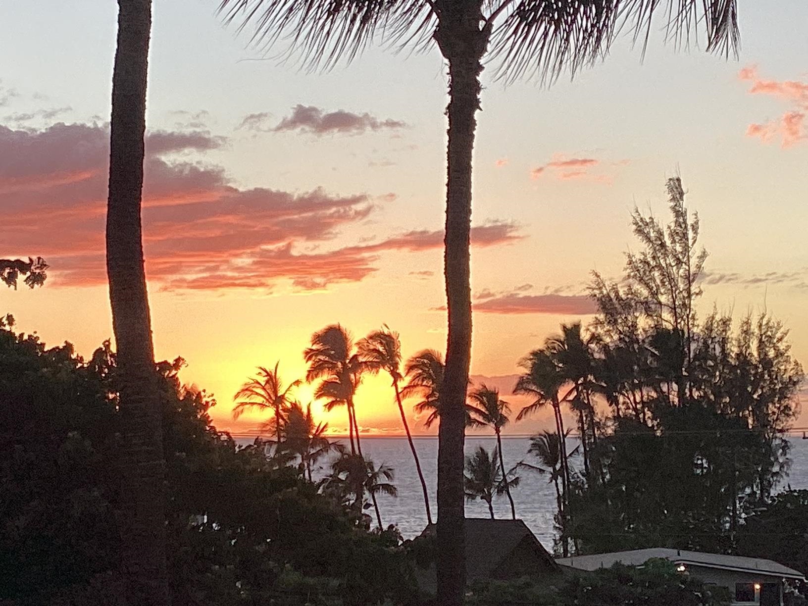 Maui Vista condo # 1401, Kihei, Hawaii - photo 29 of 30