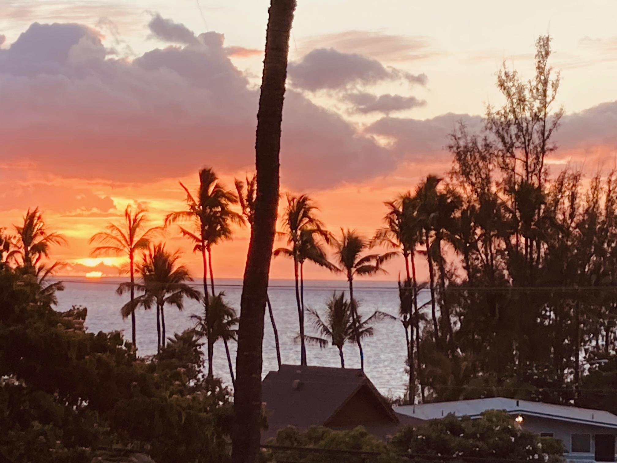 Maui Vista condo # 1401, Kihei, Hawaii - photo 30 of 30
