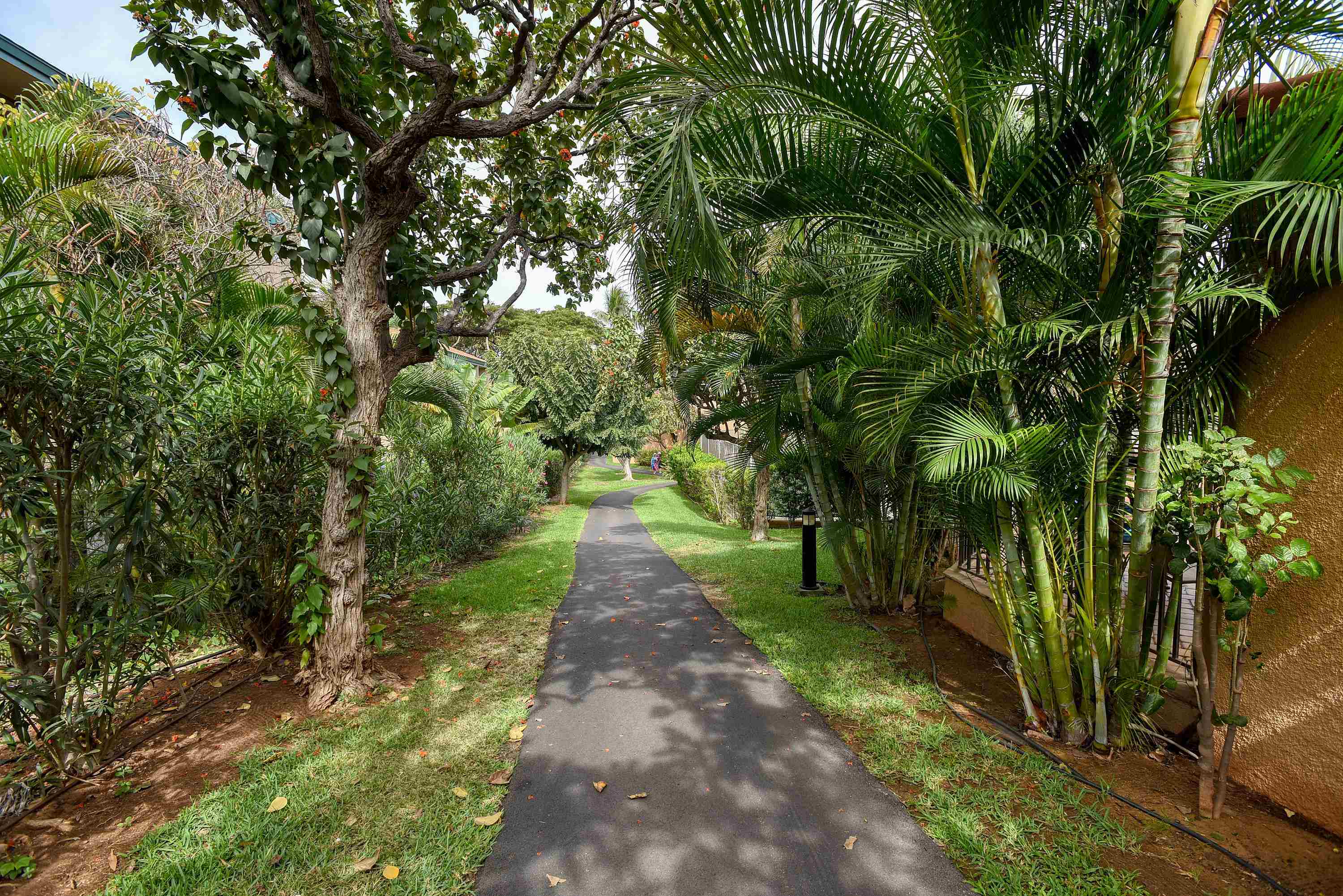 Maui Vista condo # 1401, Kihei, Hawaii - photo 20 of 24