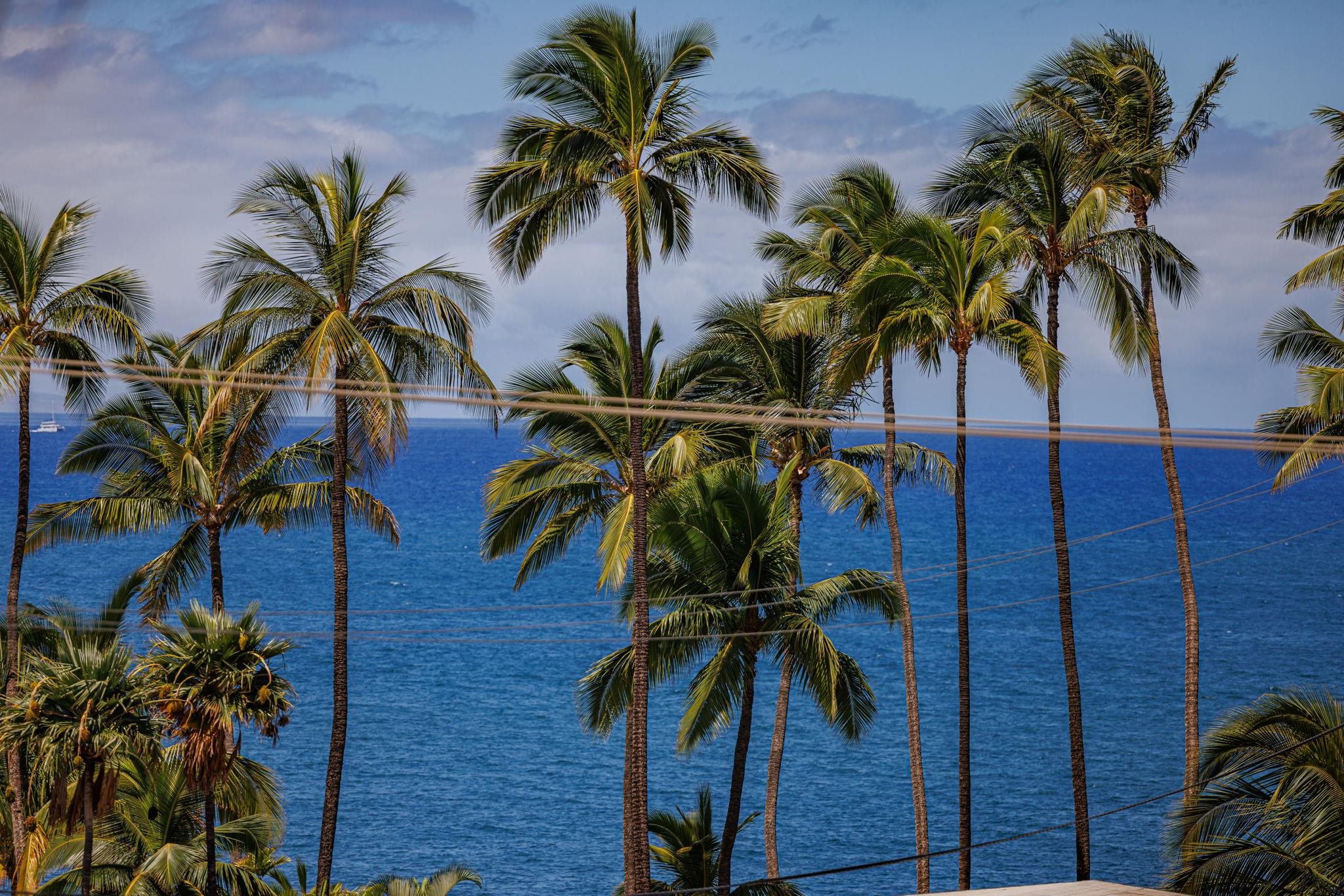 Maui Vista condo # 1405, Kihei, Hawaii - photo 42 of 42