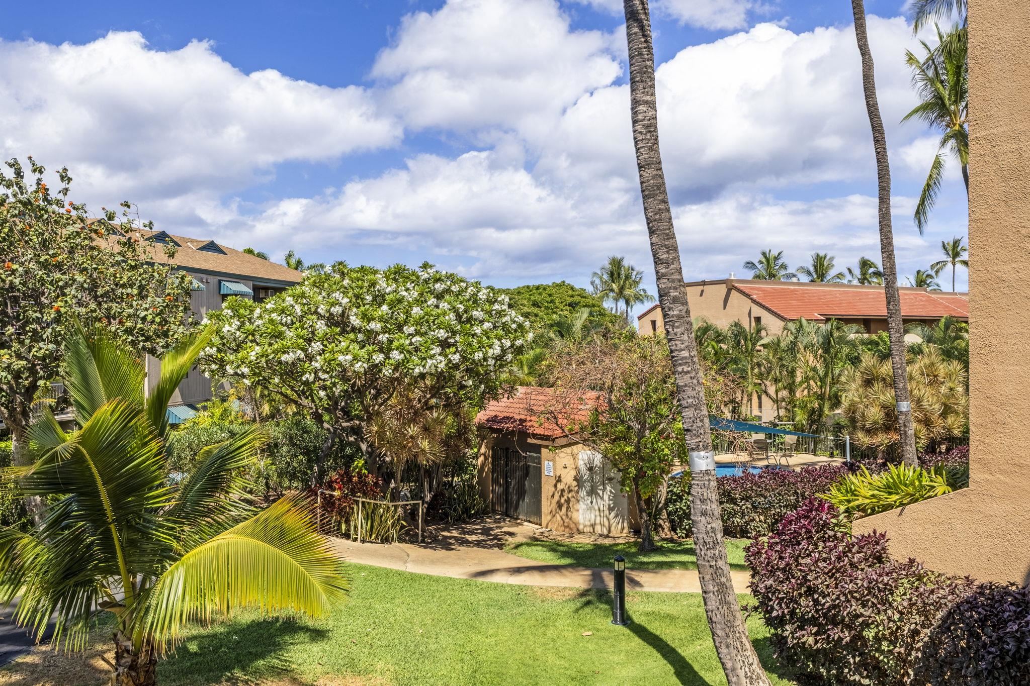 Maui Vista condo # 2202, Kihei, Hawaii - photo 17 of 30