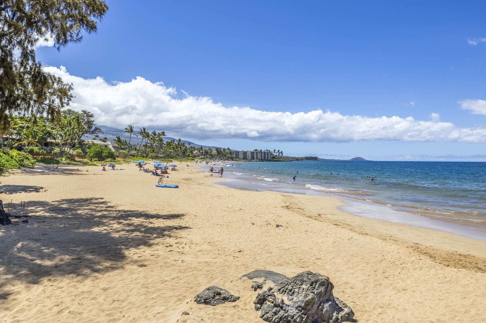 Maui Vista condo # 2202, Kihei, Hawaii - photo 30 of 30