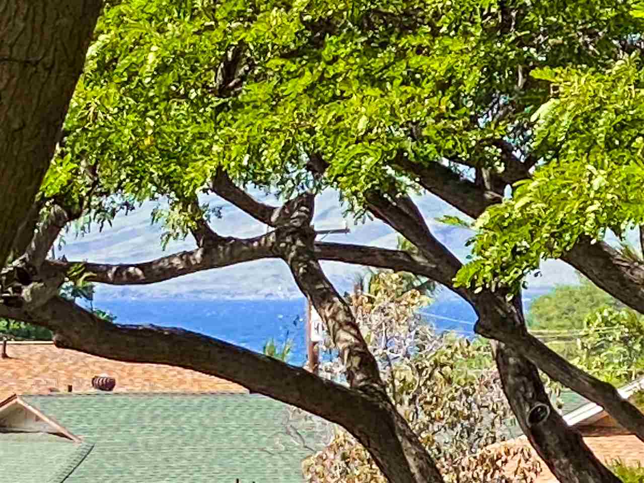 Maui Vista condo # 2215, Kihei, Hawaii - photo 4 of 14