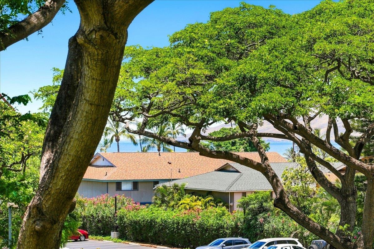 Maui Vista condo # 2215, Kihei, Hawaii - photo 10 of 25