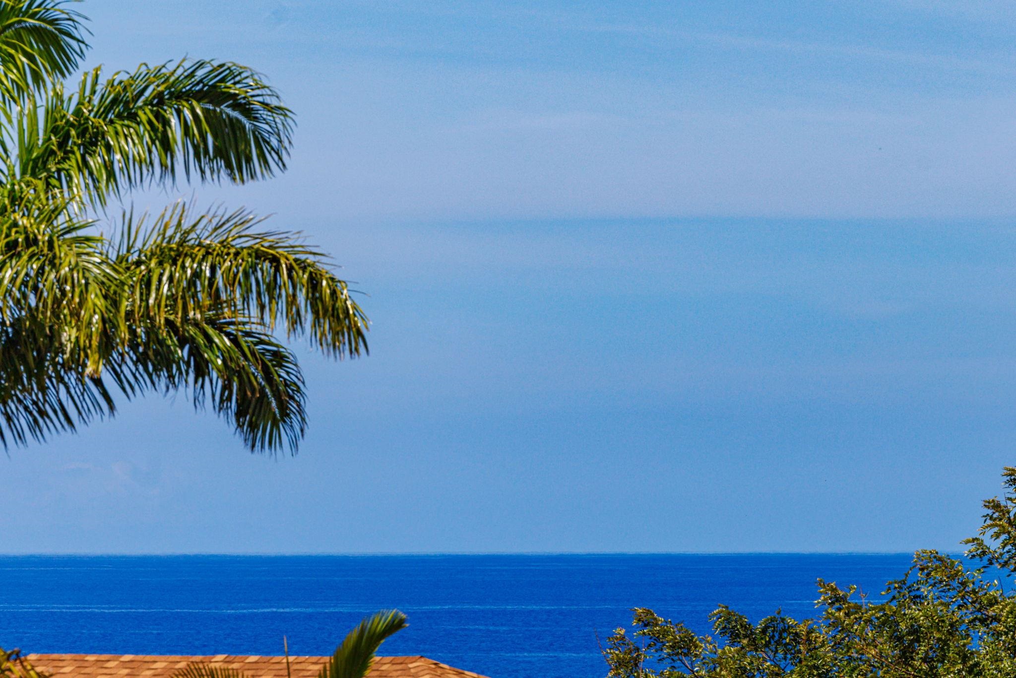 Maui Vista condo # 2306, Kihei, Hawaii - photo 41 of 41