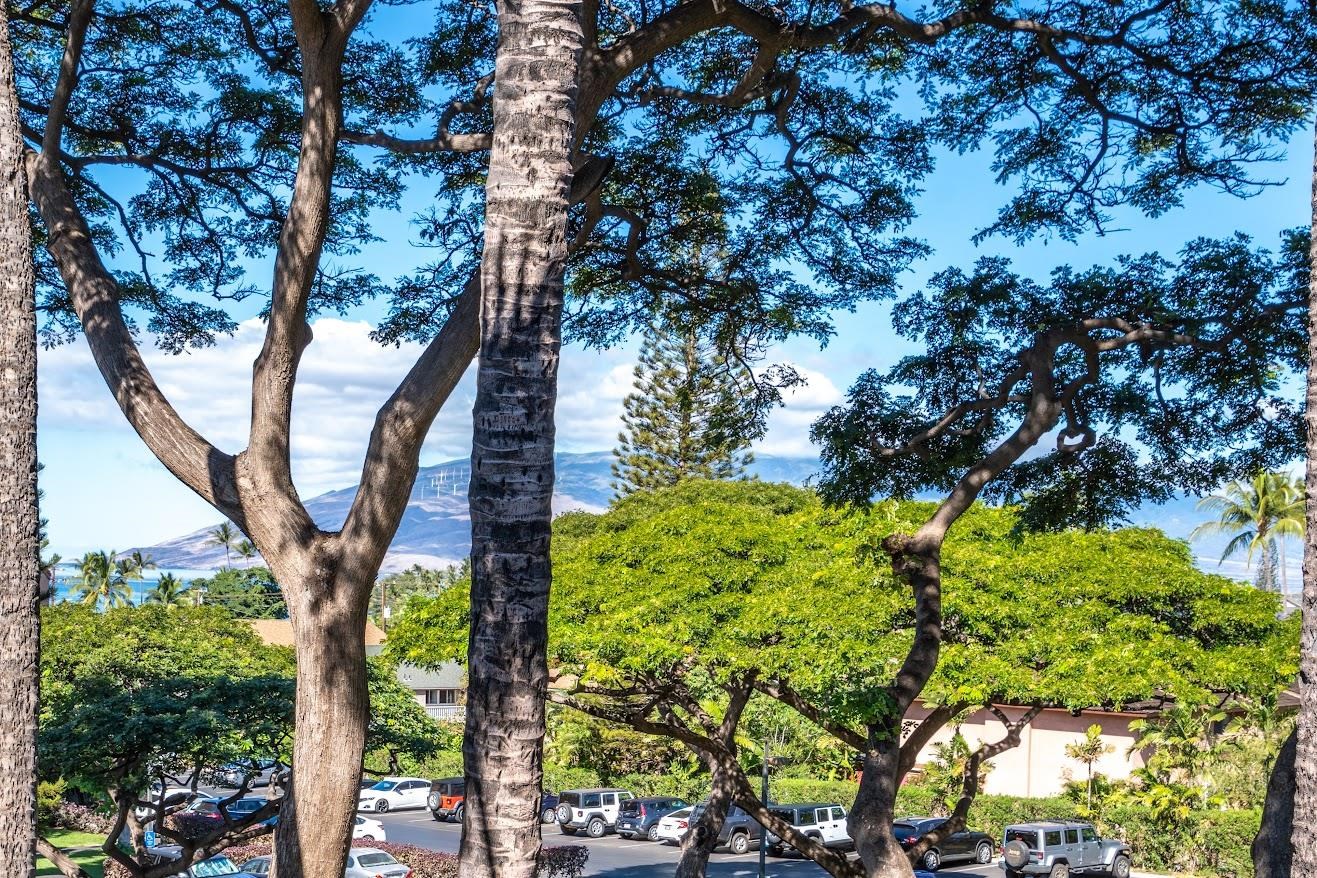 Maui Vista condo # 2-313, Kihei, Hawaii - photo 6 of 19