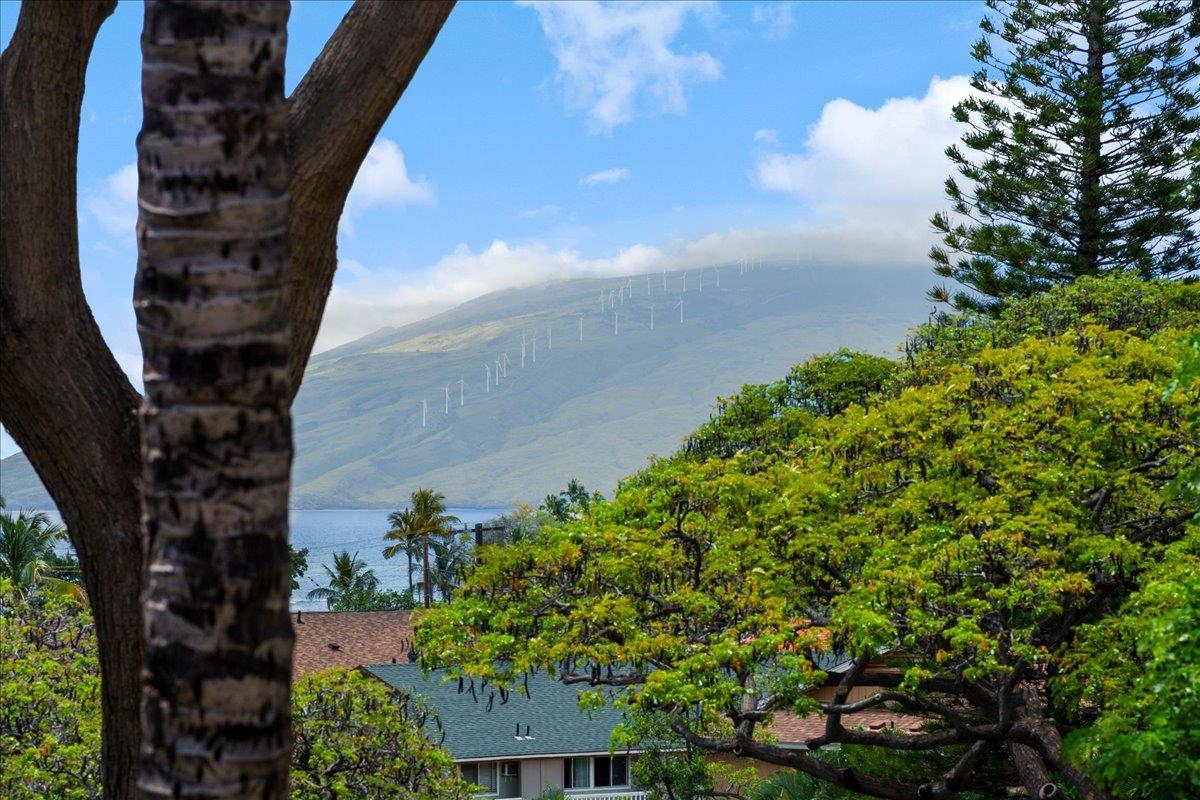 Maui Vista condo # 2313, Kihei, Hawaii - photo 33 of 33