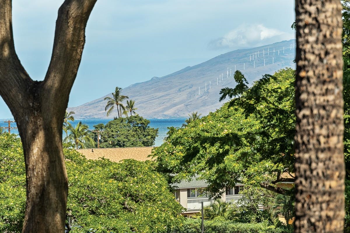 Maui Vista condo # 2314, Kihei, Hawaii - photo 2 of 36