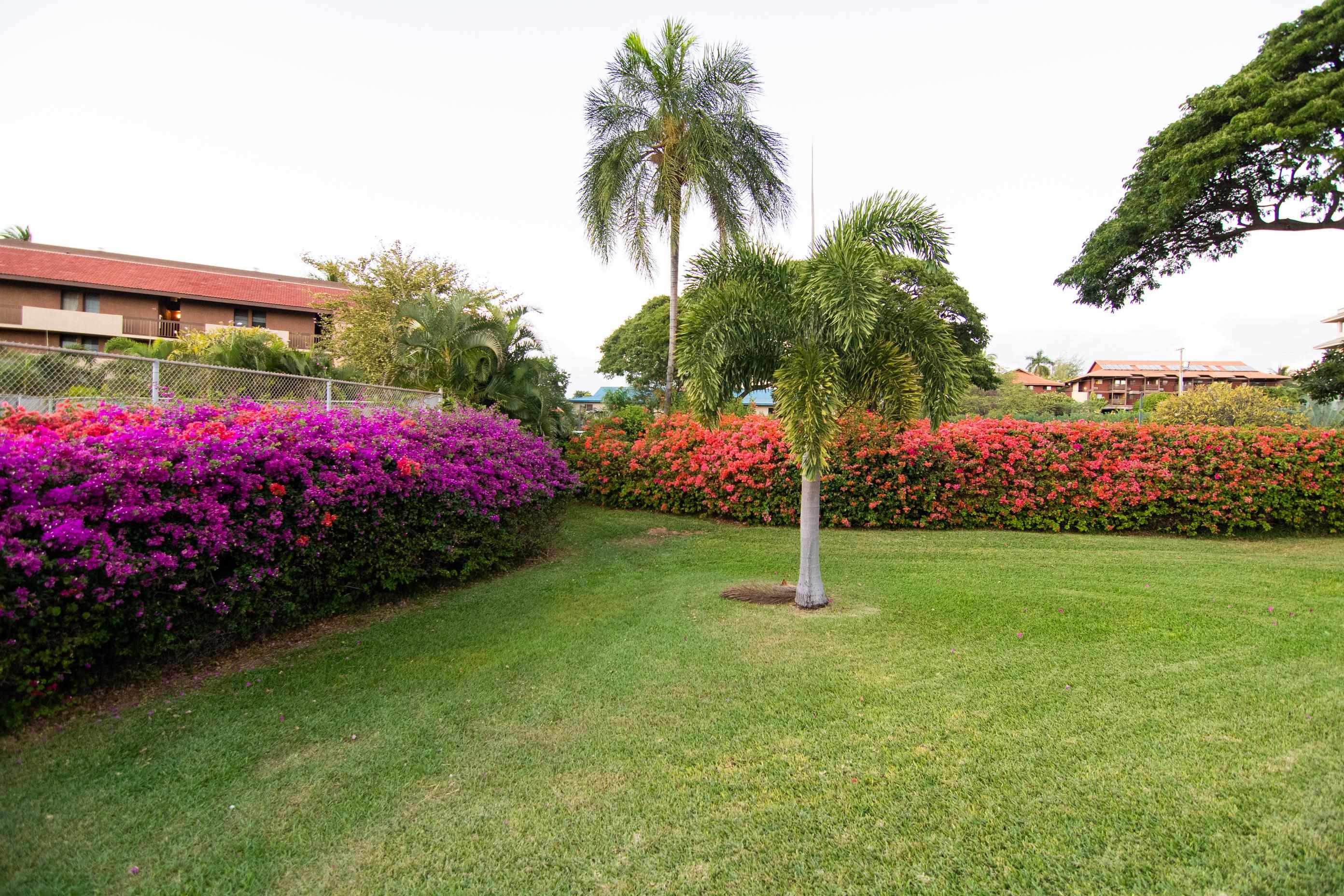 Maui Vista condo # 2317, Kihei, Hawaii - photo 29 of 32