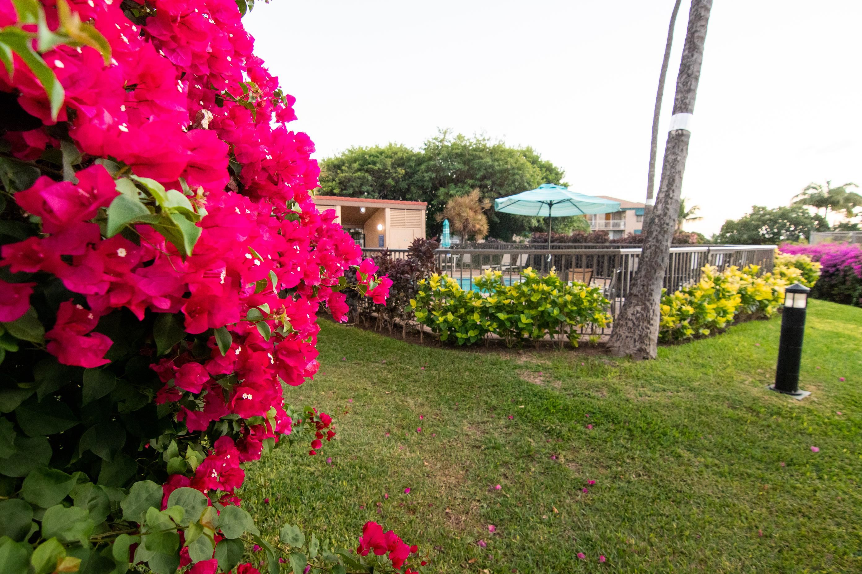 Maui Vista condo # 2317, Kihei, Hawaii - photo 30 of 32