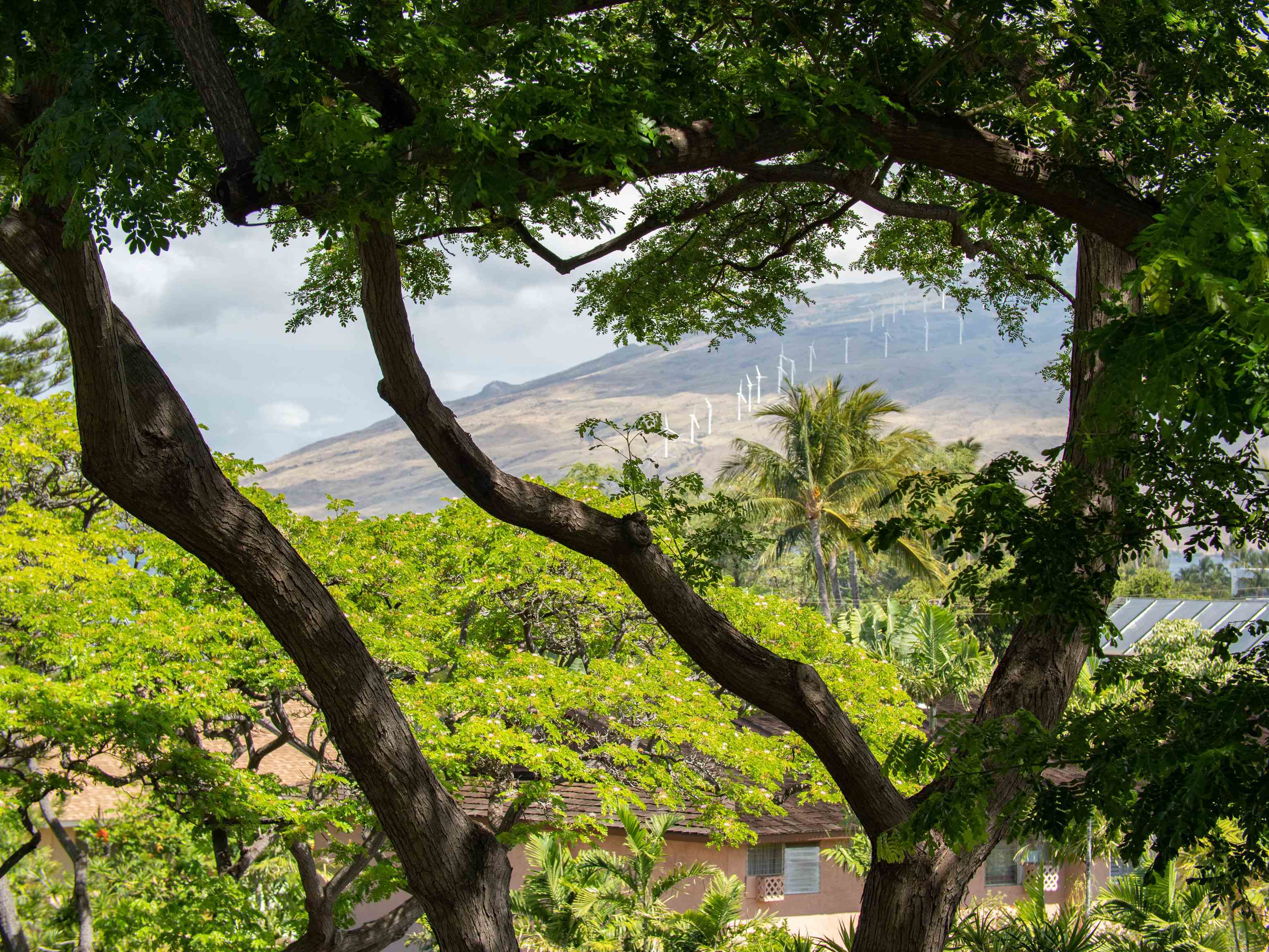 Maui Vista condo # 2320, Kihei, Hawaii - photo 5 of 50