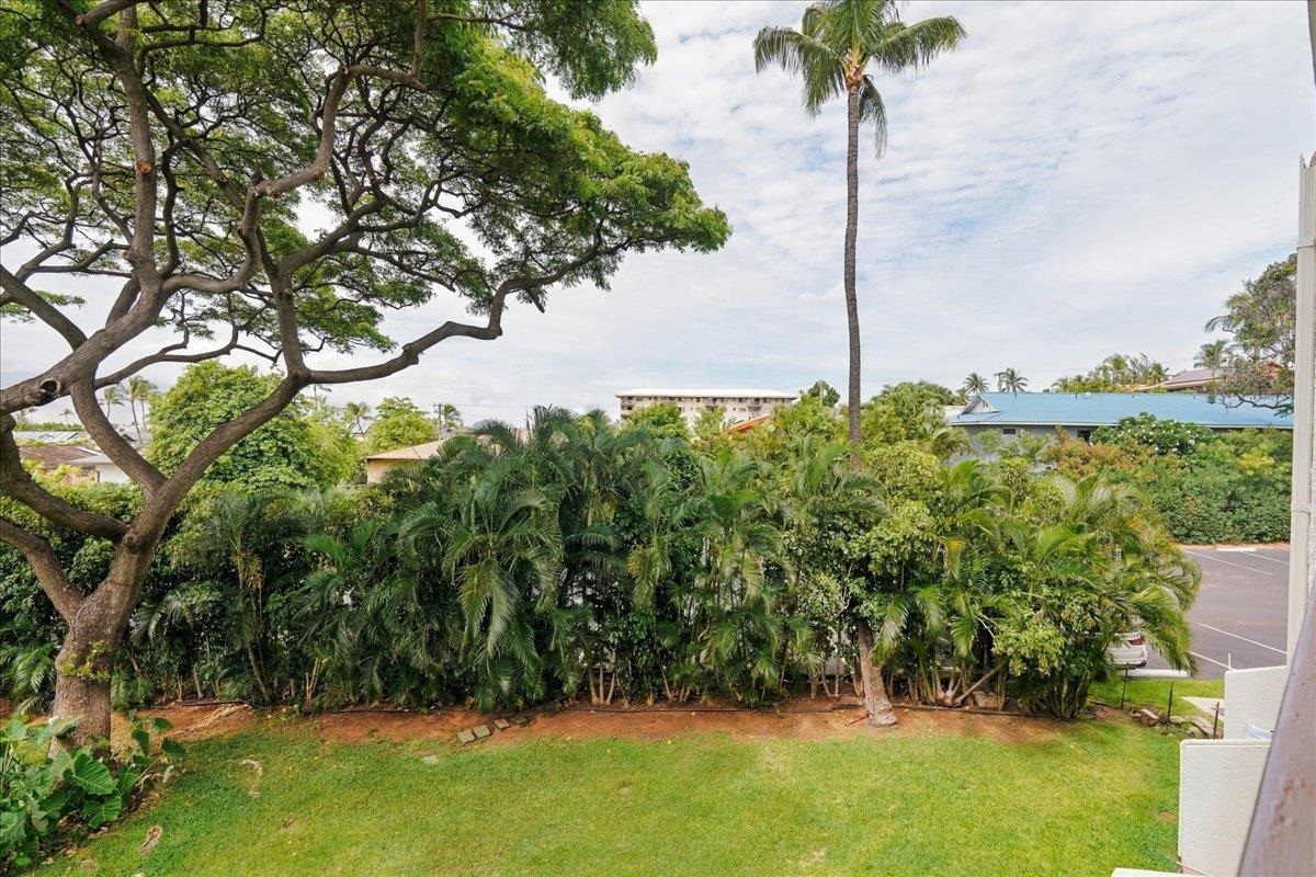 Maui Vista condo # 2321, Kihei, Hawaii - photo 19 of 30