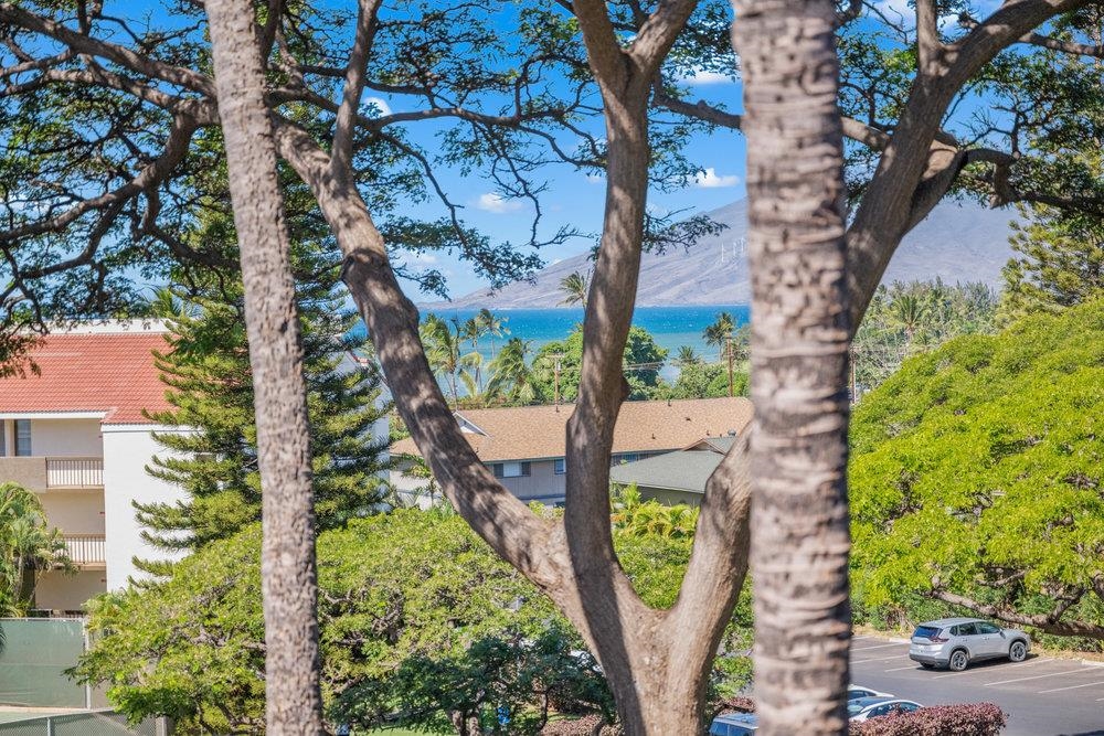 Maui Vista condo # 2413, Kihei, Hawaii - photo 9 of 32