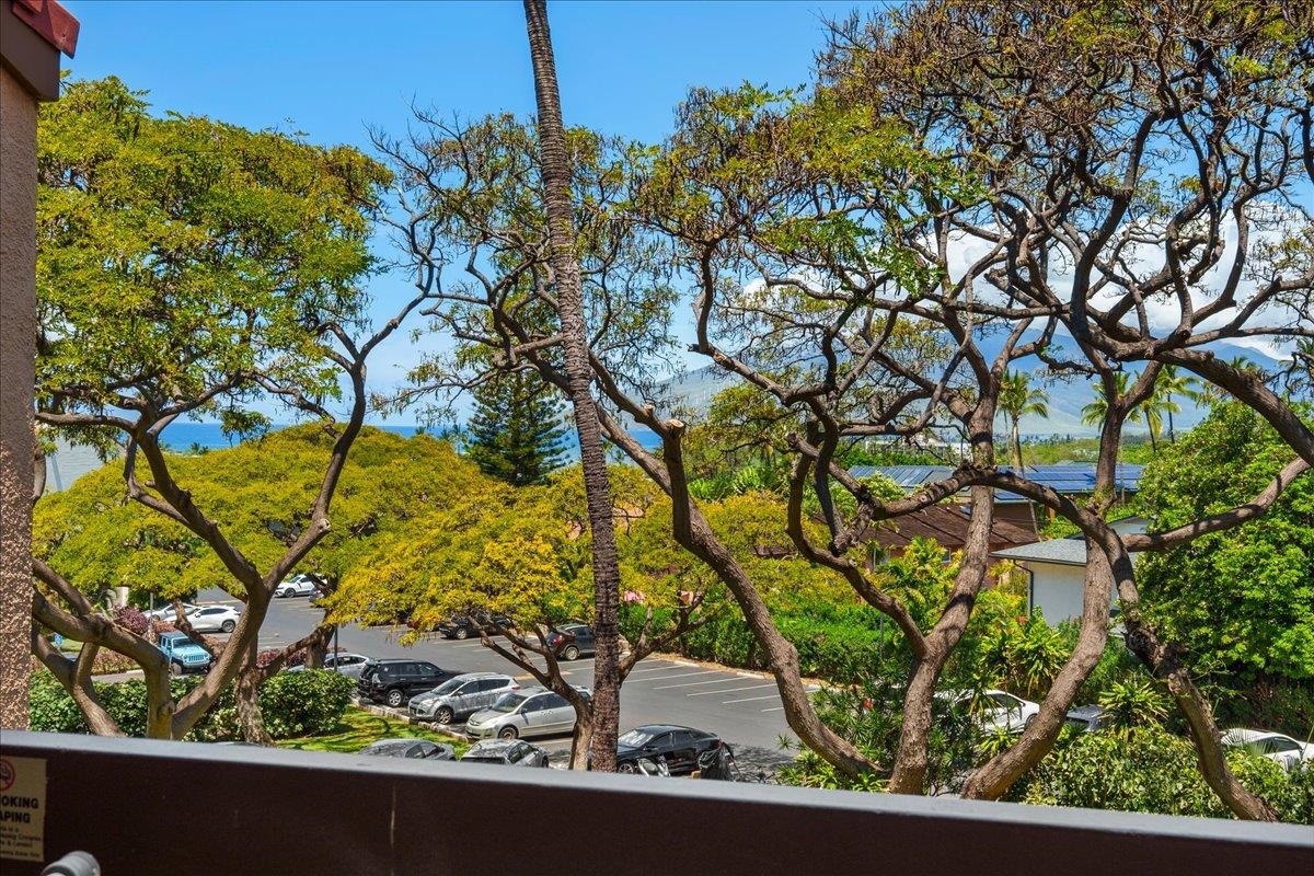 Maui Vista condo # 2419, Kihei, Hawaii - photo 3 of 27