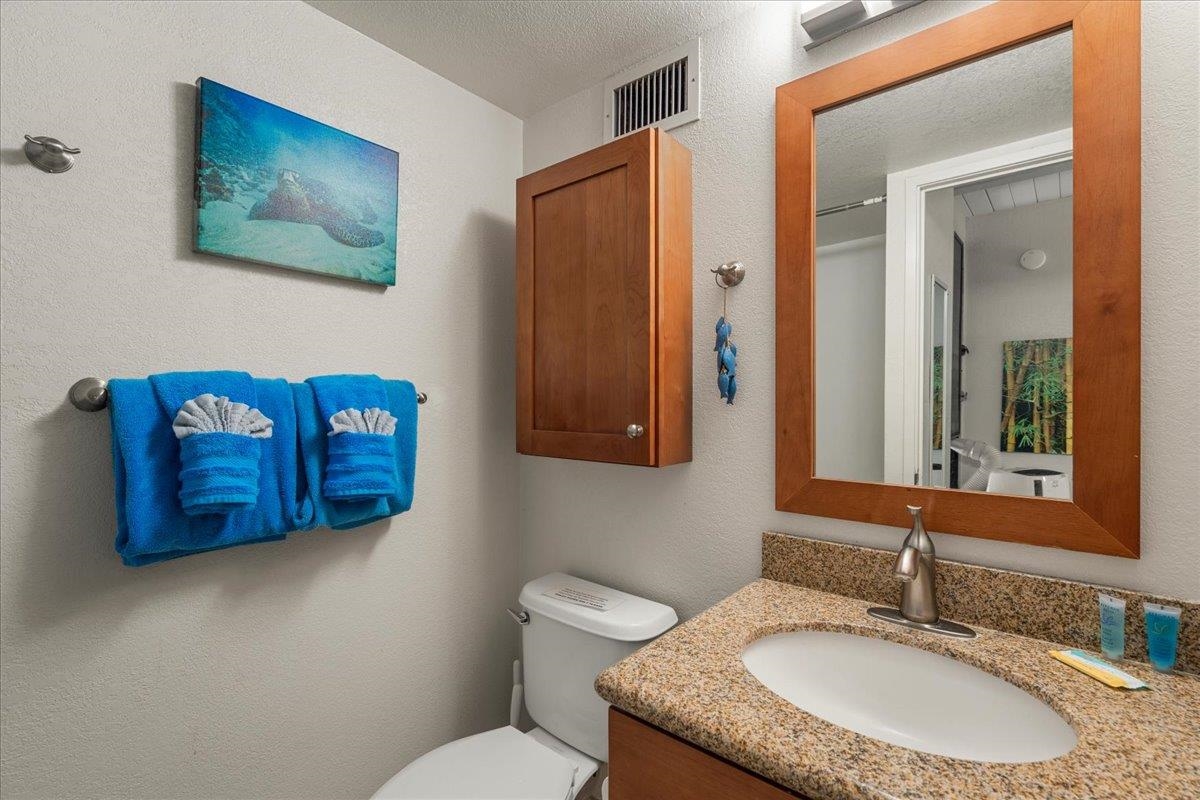 Maui Vista condo # 2419, Kihei, Hawaii - photo 25 of 27
