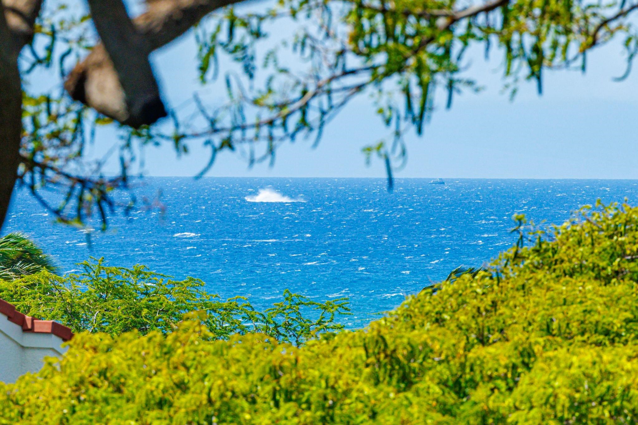 Maui Vista condo # 2420, Kihei, Hawaii - photo 34 of 36