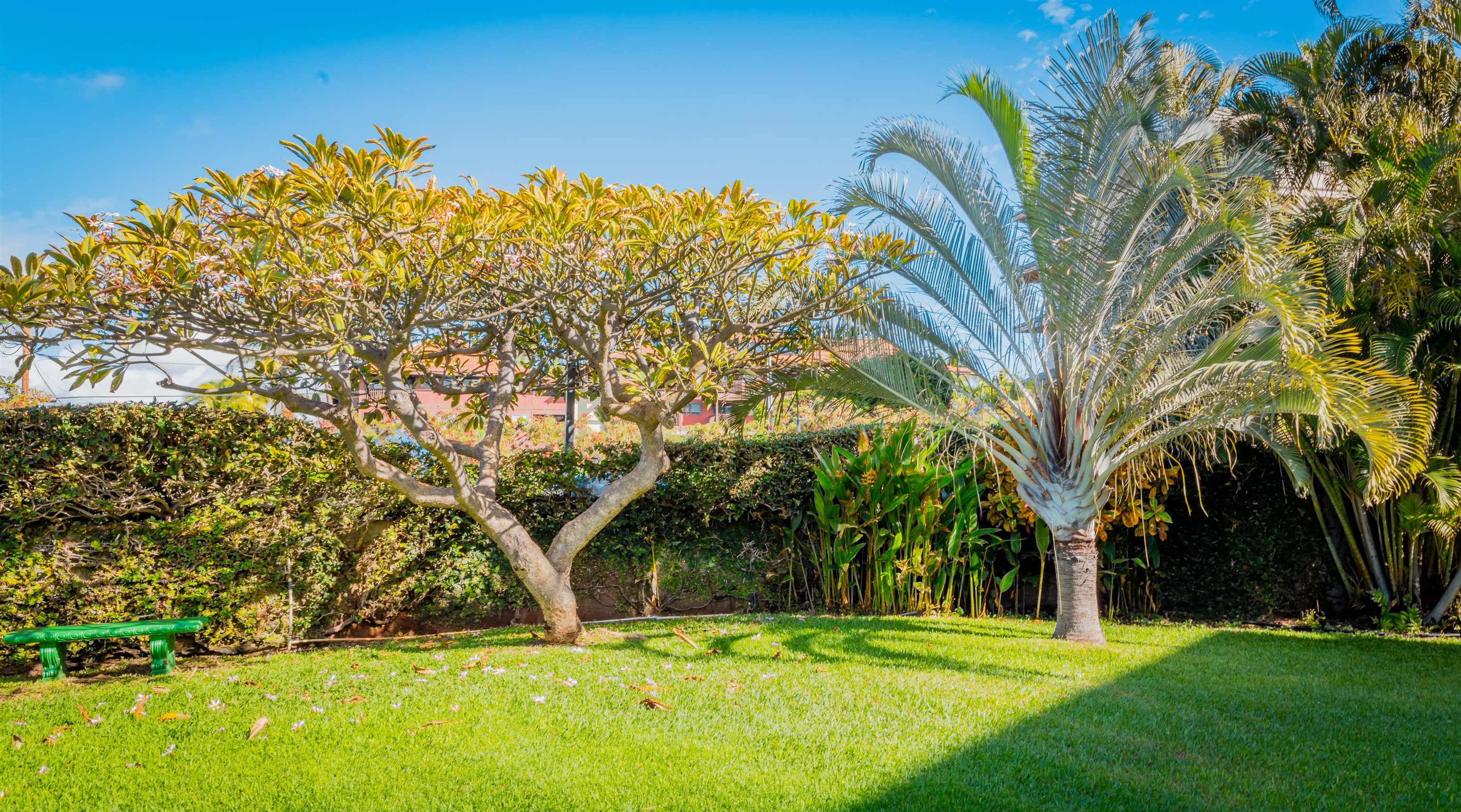 Maui Vista condo # 3402, Kihei, Hawaii - photo 26 of 28