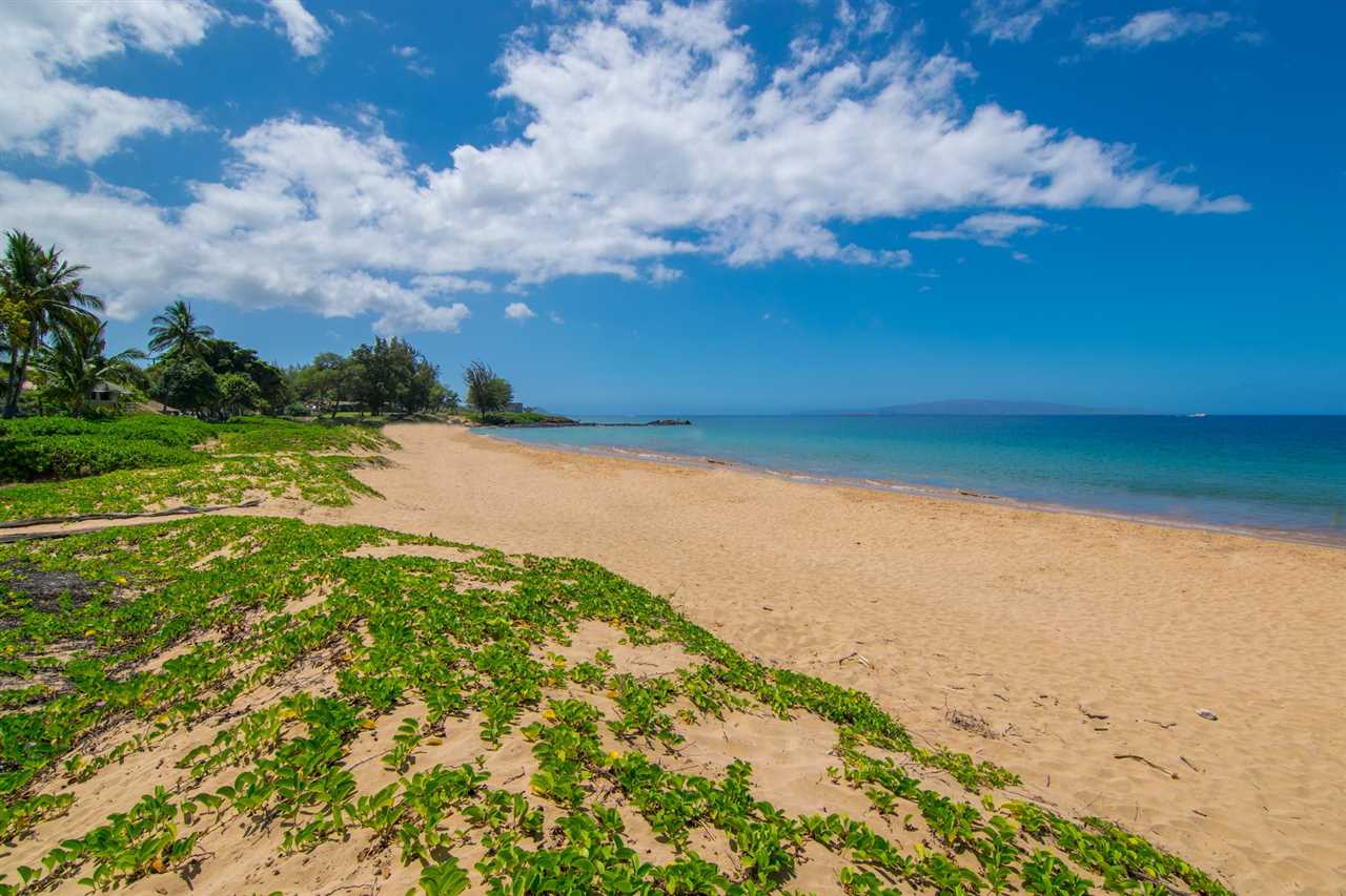 Maui Vista condo # 3405, Kihei, Hawaii - photo 22 of 25