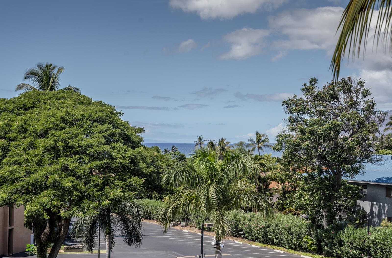 Maui Vista condo # 3417, Kihei, Hawaii - photo 25 of 26